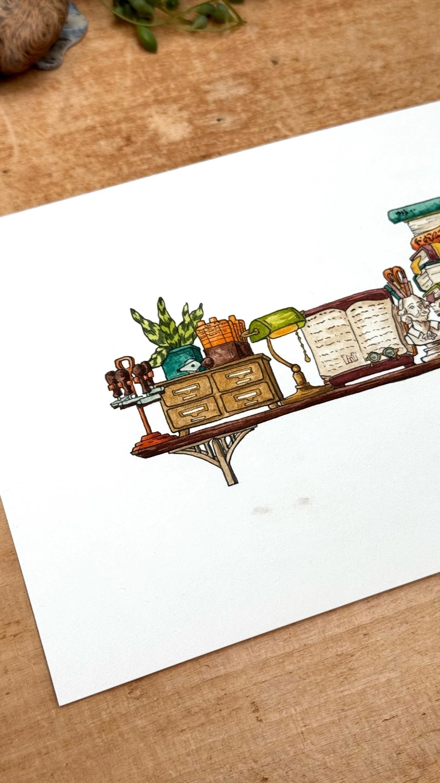 Original Mini Librarian's Shelf Illustration