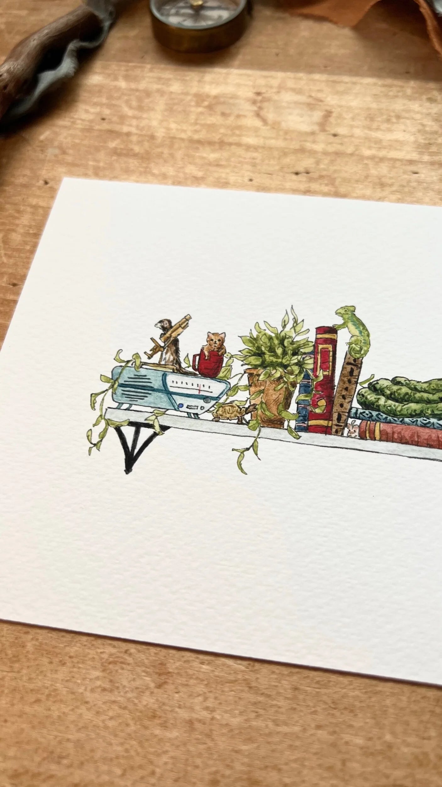 The Mini Veterinarian's Shelf Giclée Print