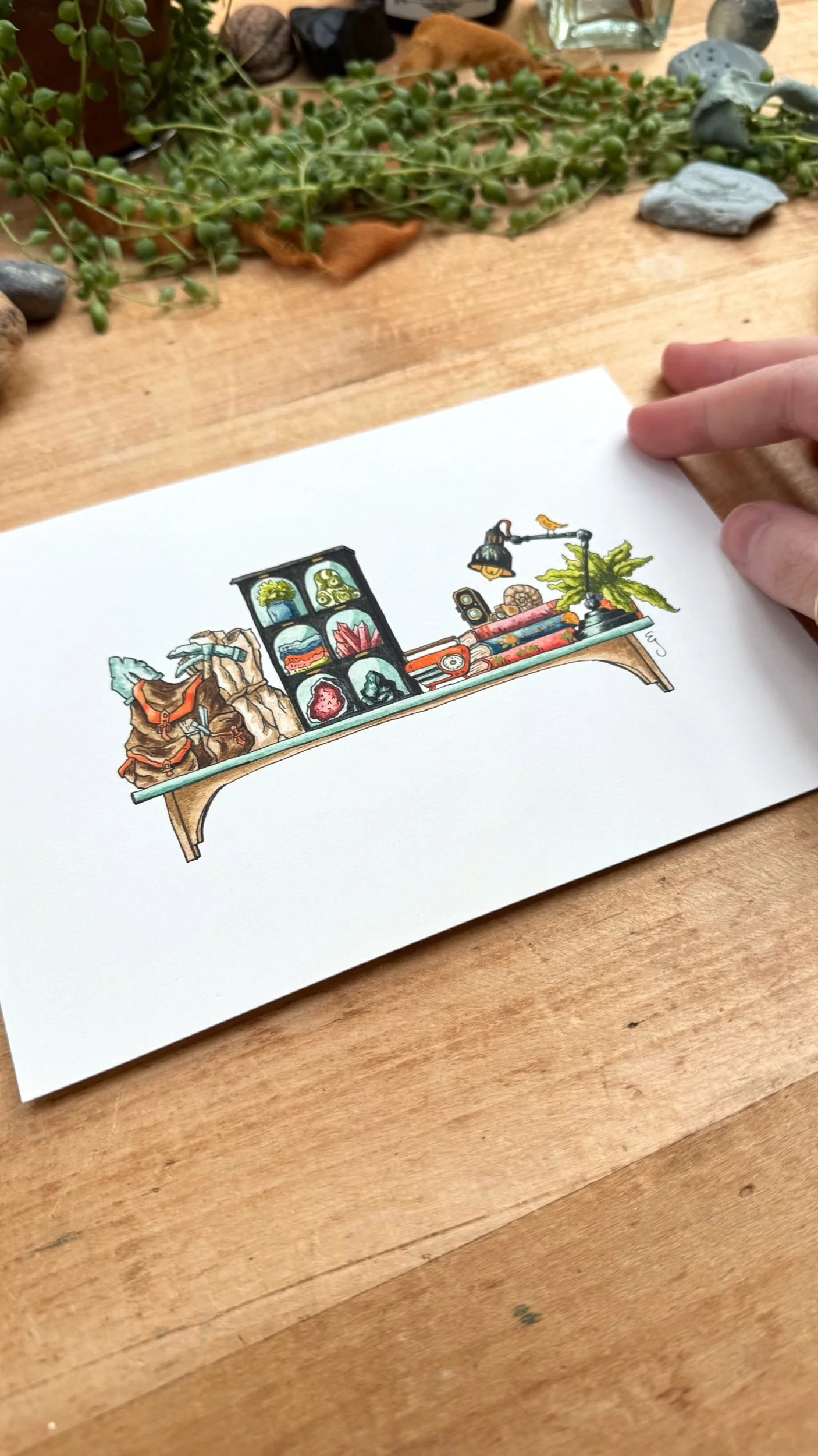 Original Mini Geologist's Shelf Illustration