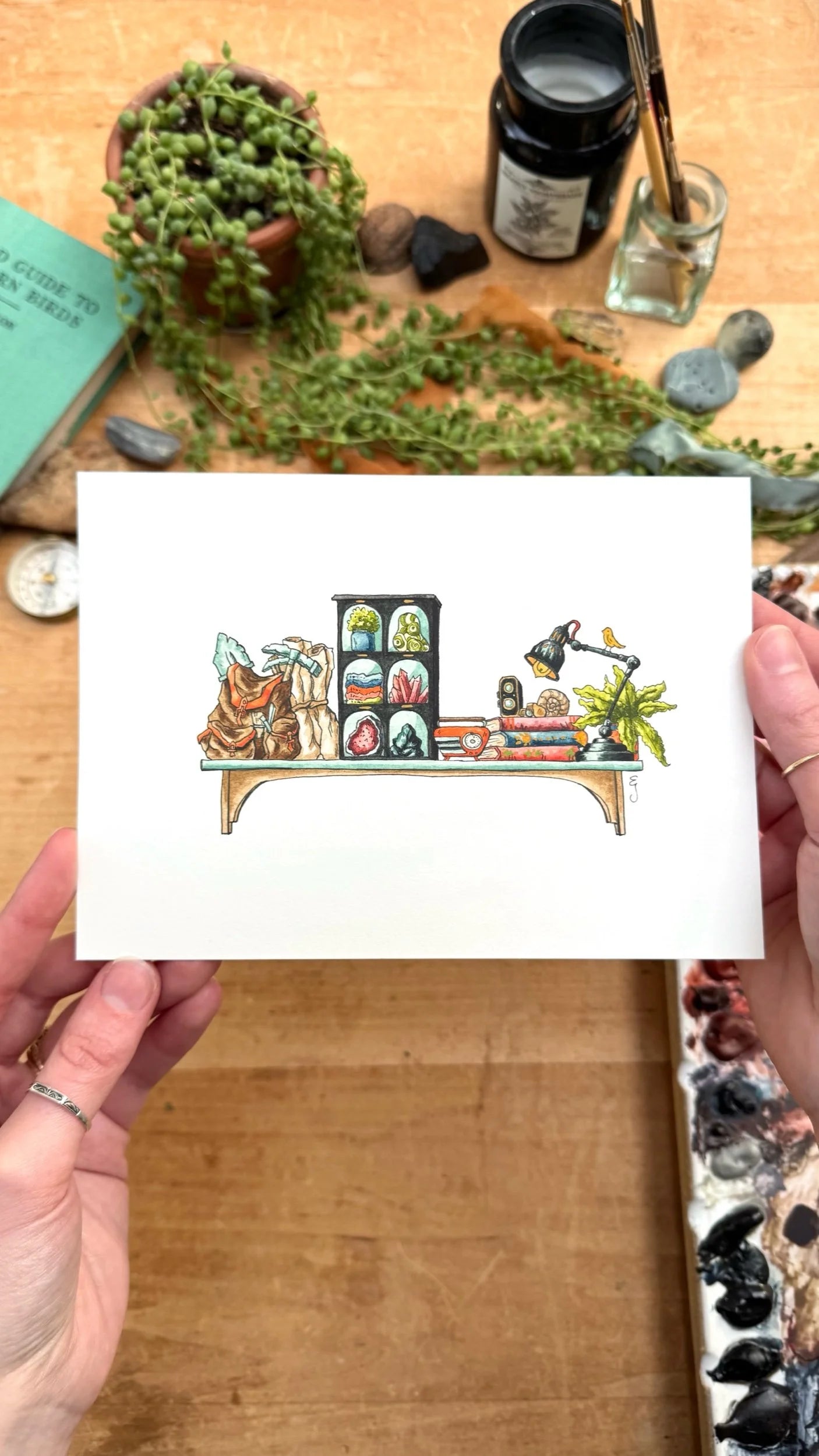 Original Mini Geologist's Shelf Illustration