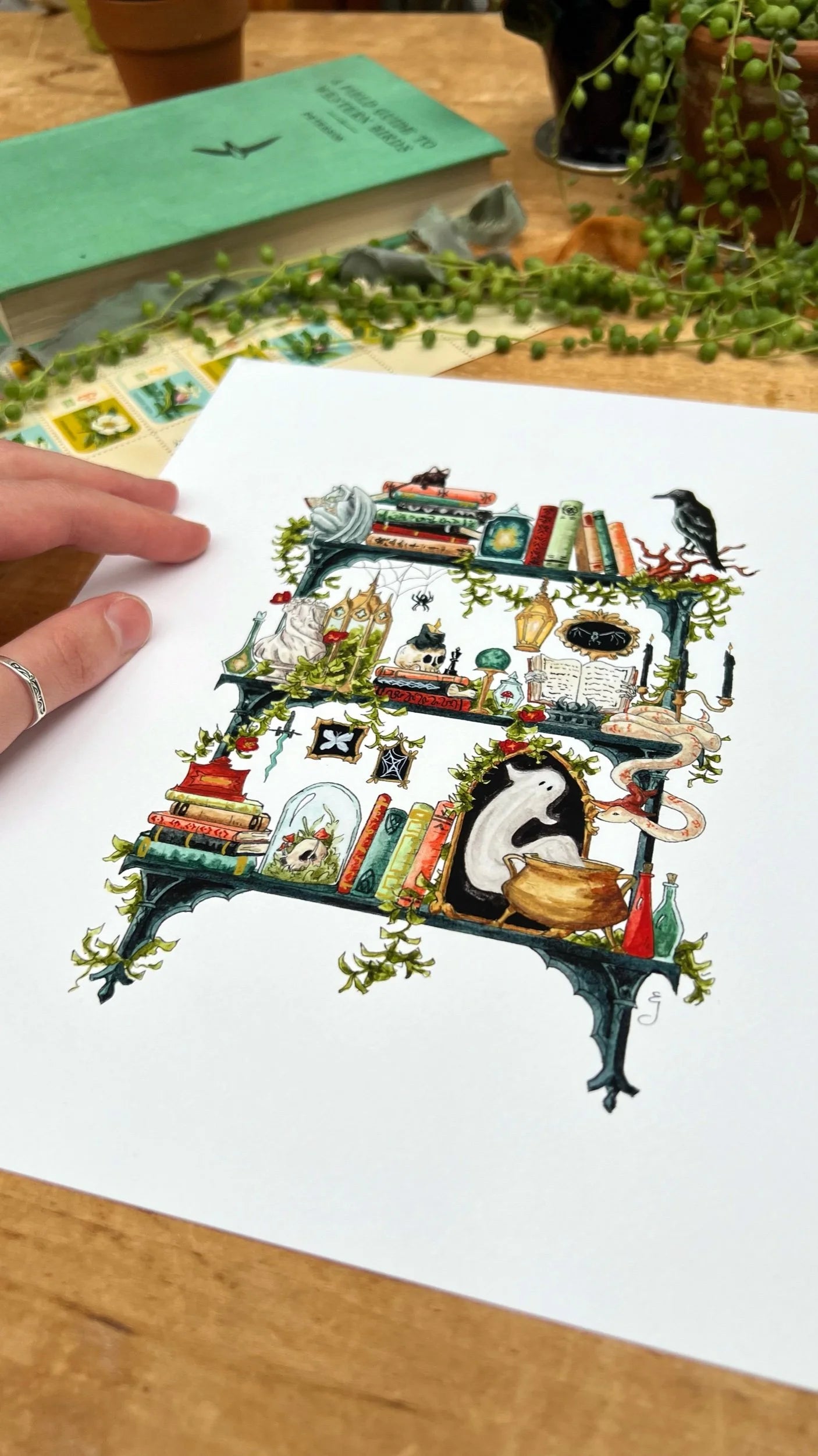 The Gothic Witch's Shelves Giclée Print