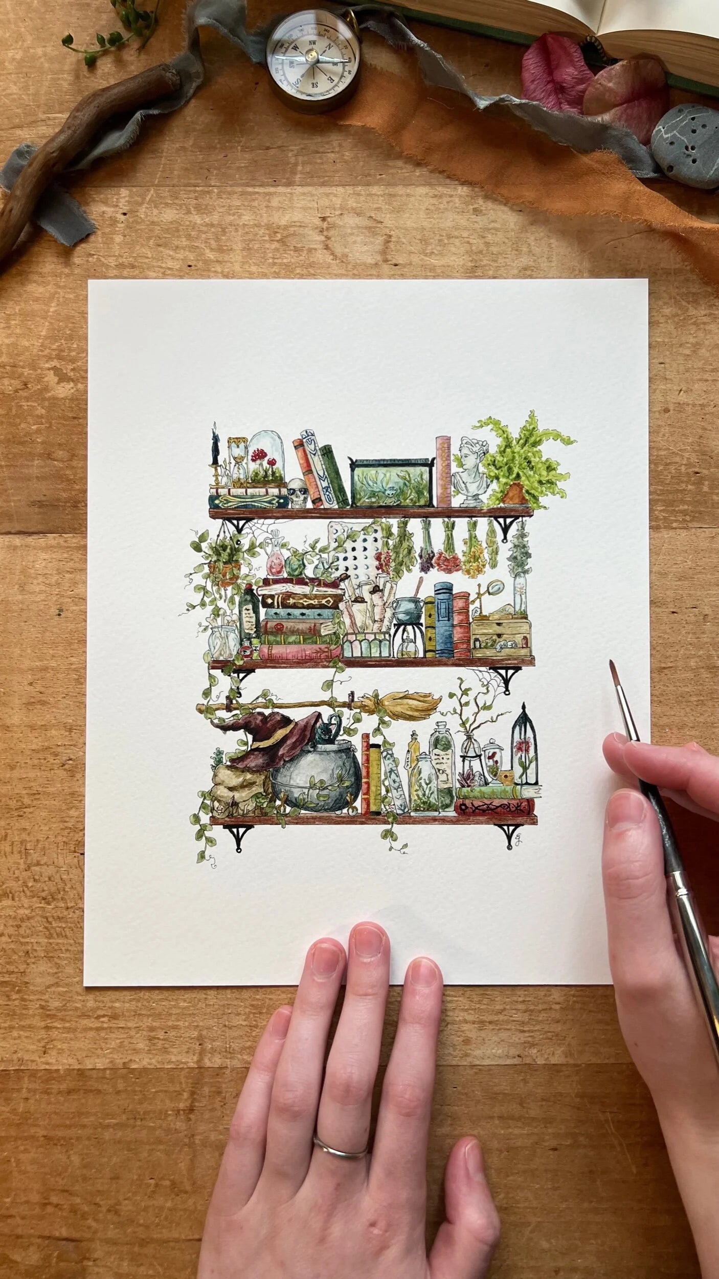 Witches Shelves Giclée Print Bundle, Vol. 1