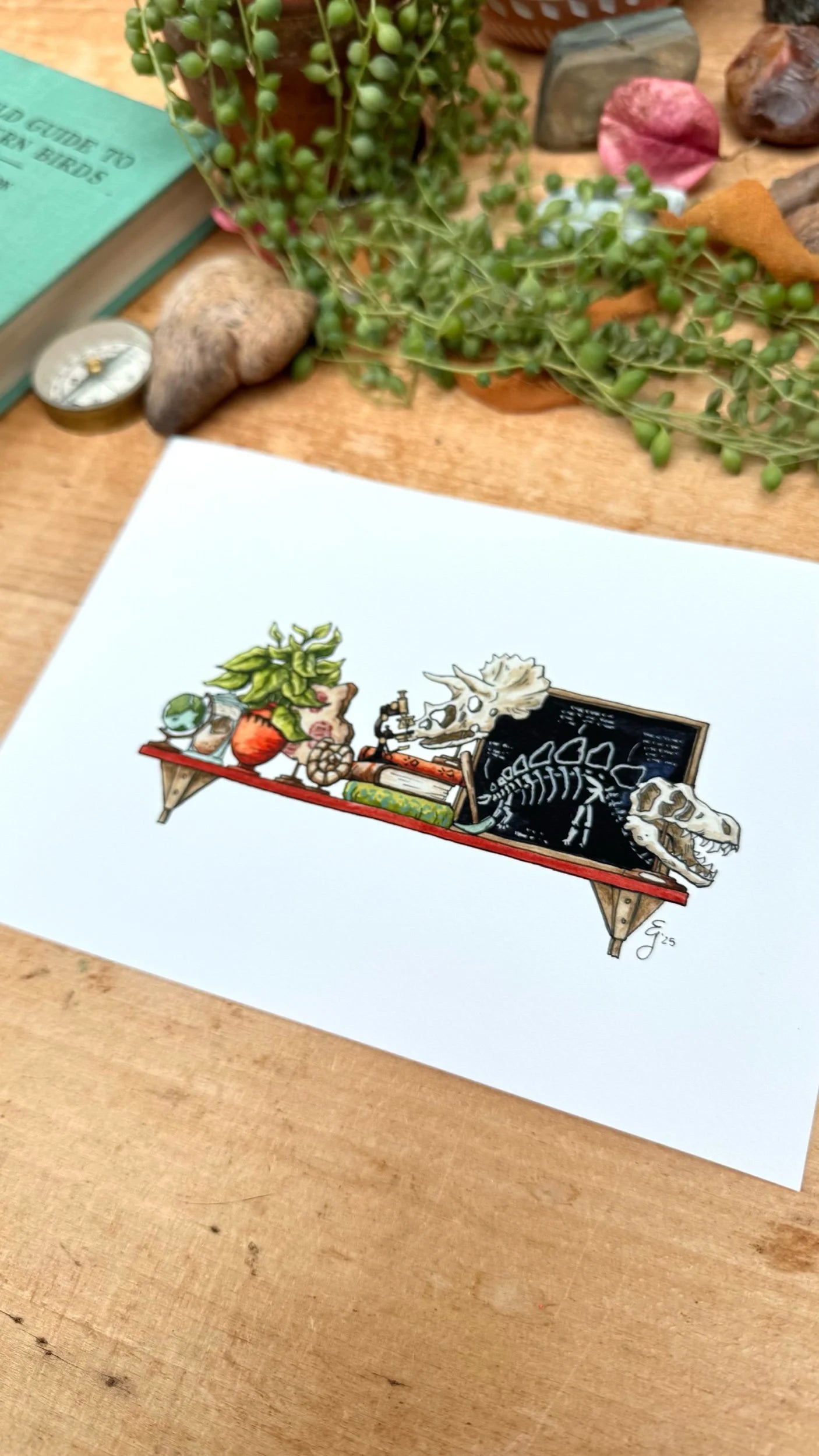 The Mini Paleontologist's Shelf Giclée Print