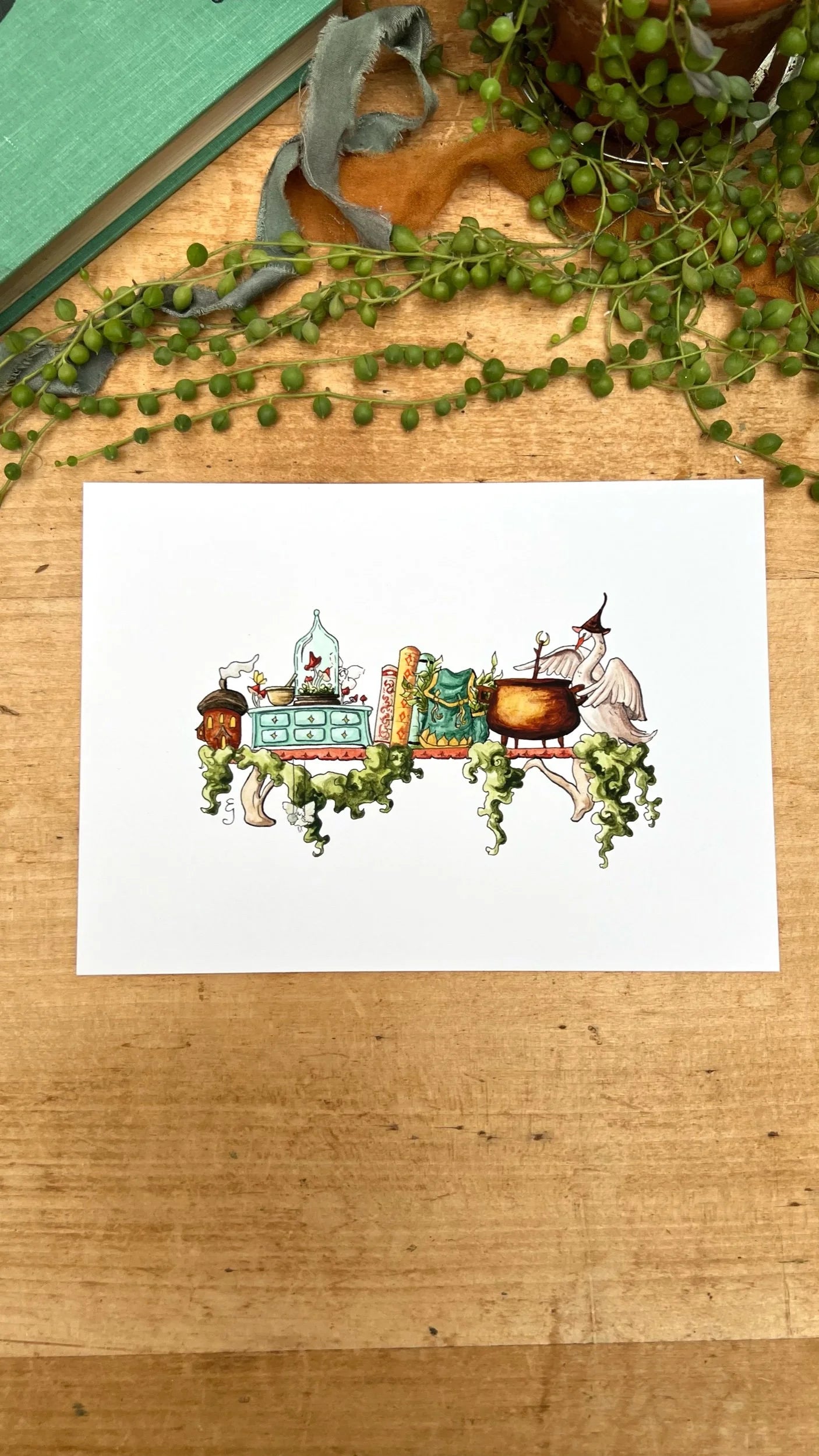 The Mini Fairy Witch's Shelf Giclée Print
