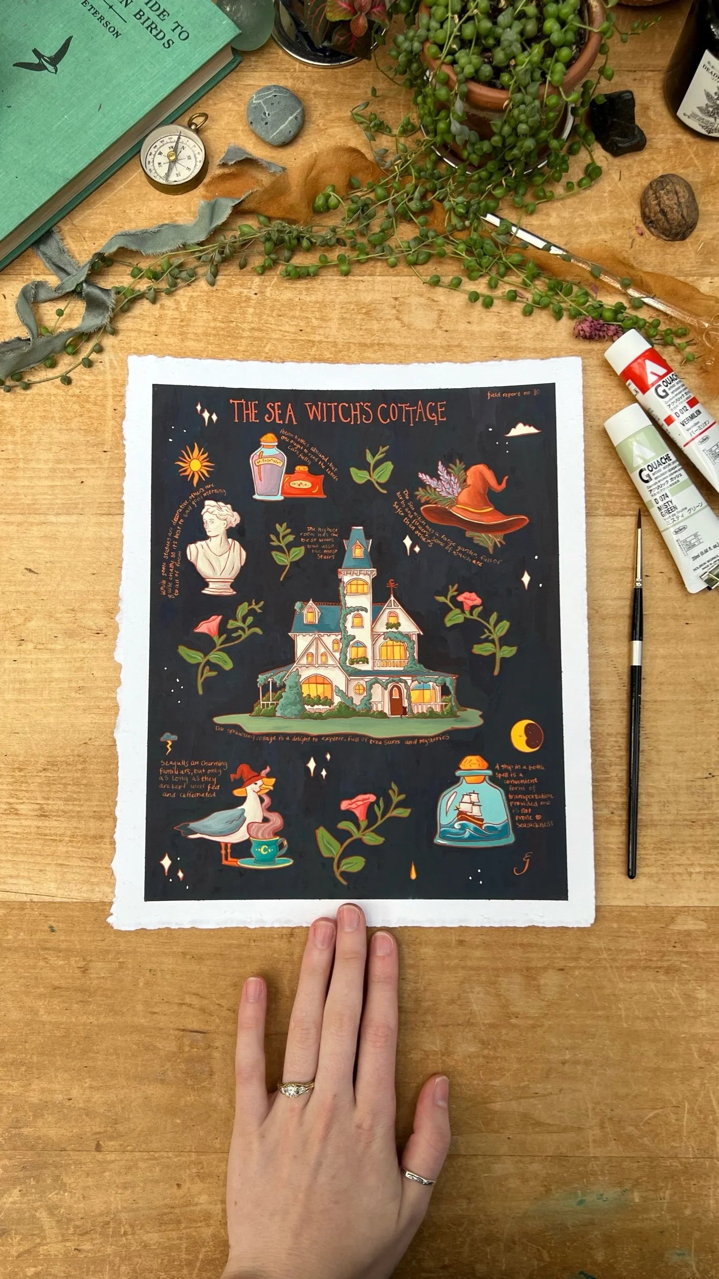 Original Sea Witch's Cottage Field Report