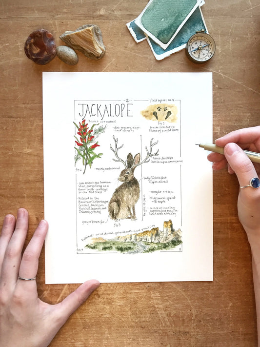 Jackalope Field Report Giclée Print