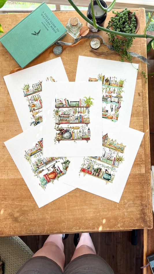 Witches Shelves Giclée Print Bundle, Vol. 1