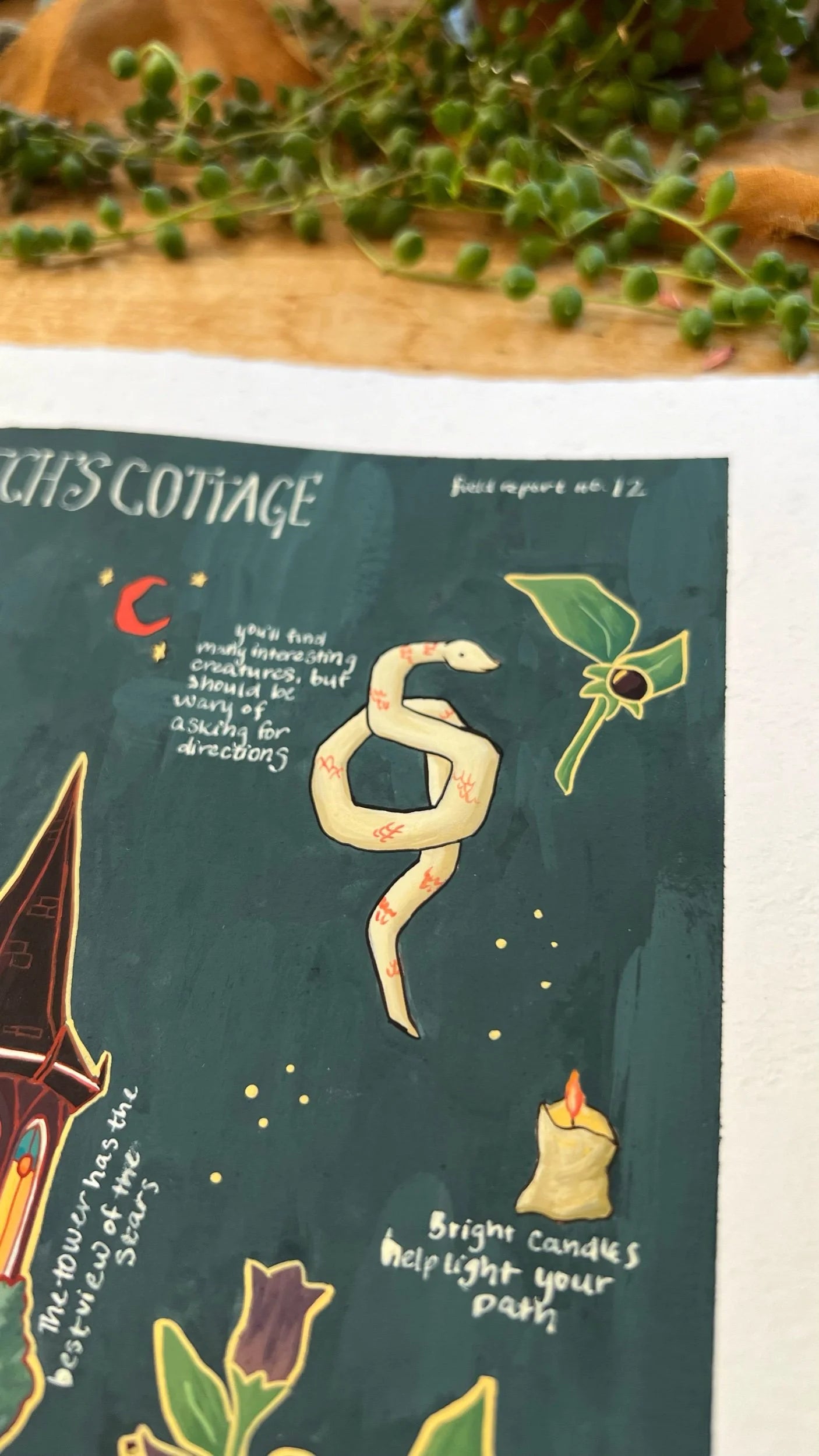 Original Gothic Witch's Cottage Field Report