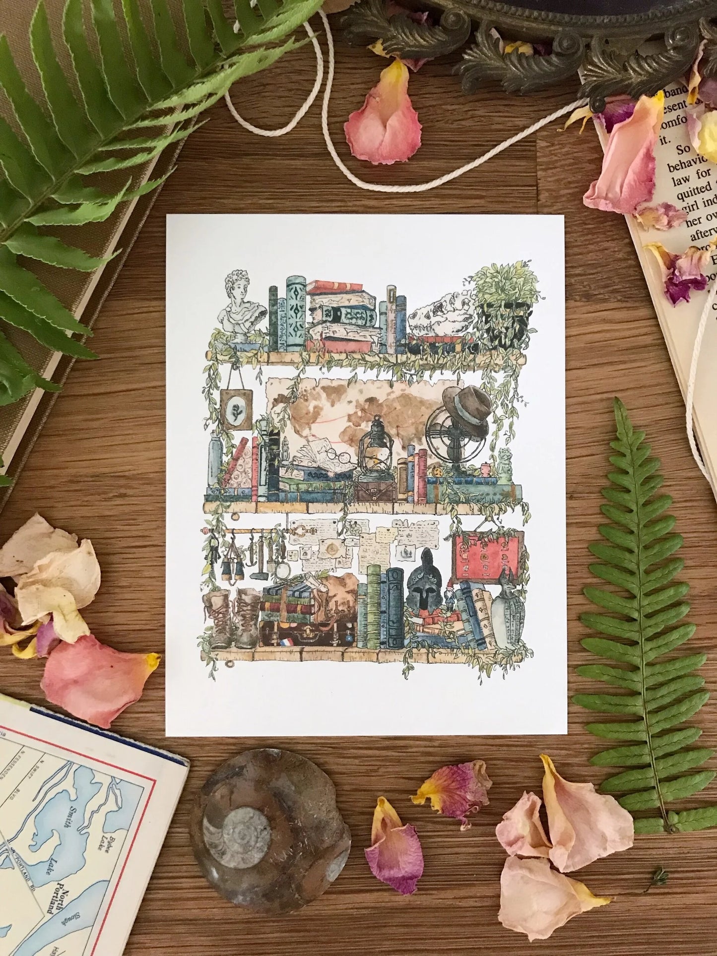 Vol. 1: Natural History Postcard Set