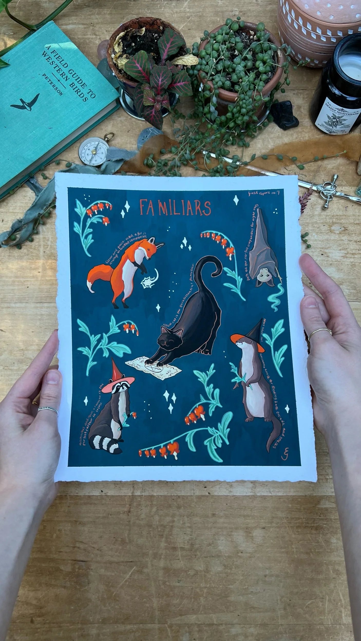 Original Familiars Field Report