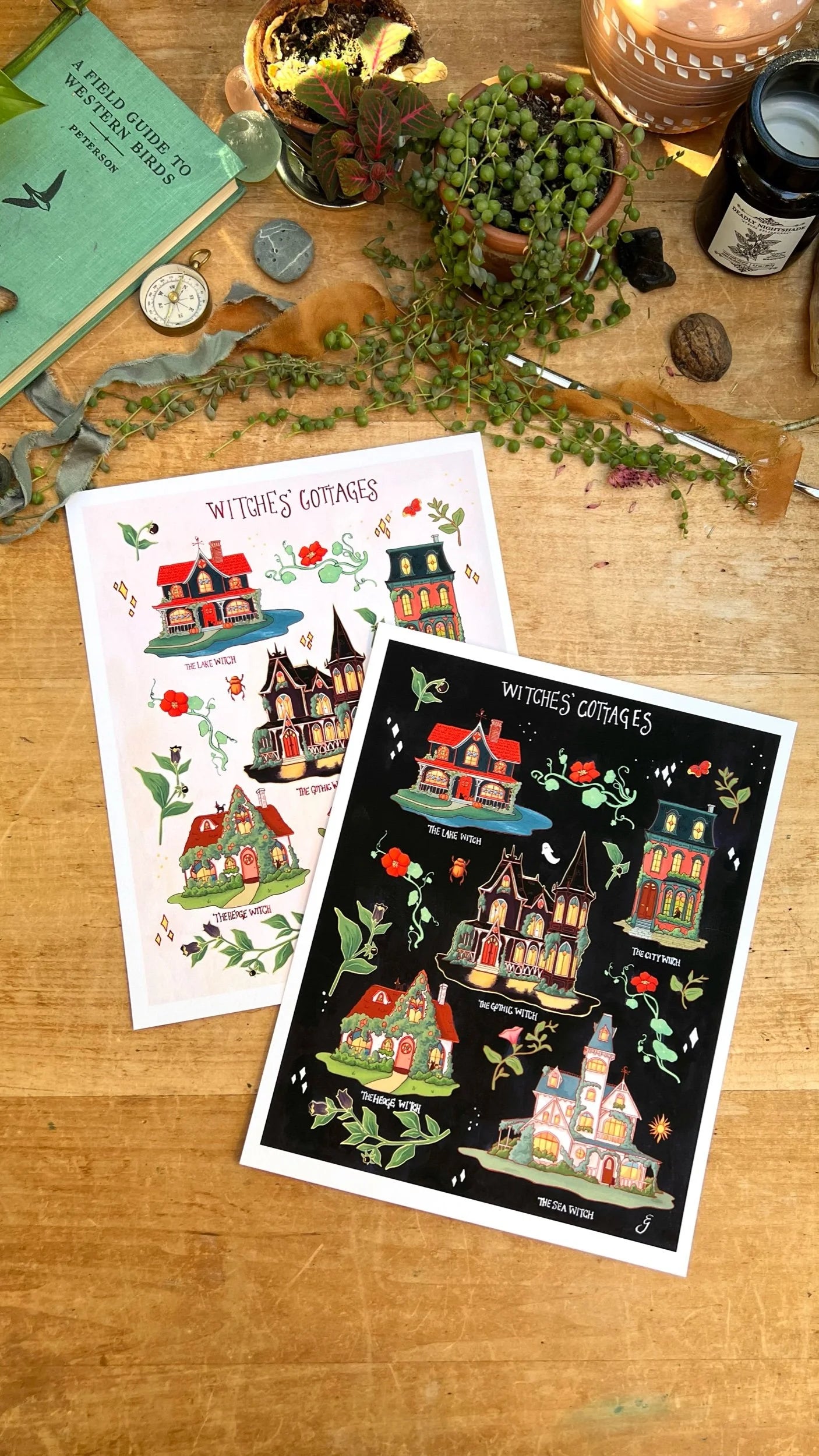 Witches' Cottages Field Report Giclée Print