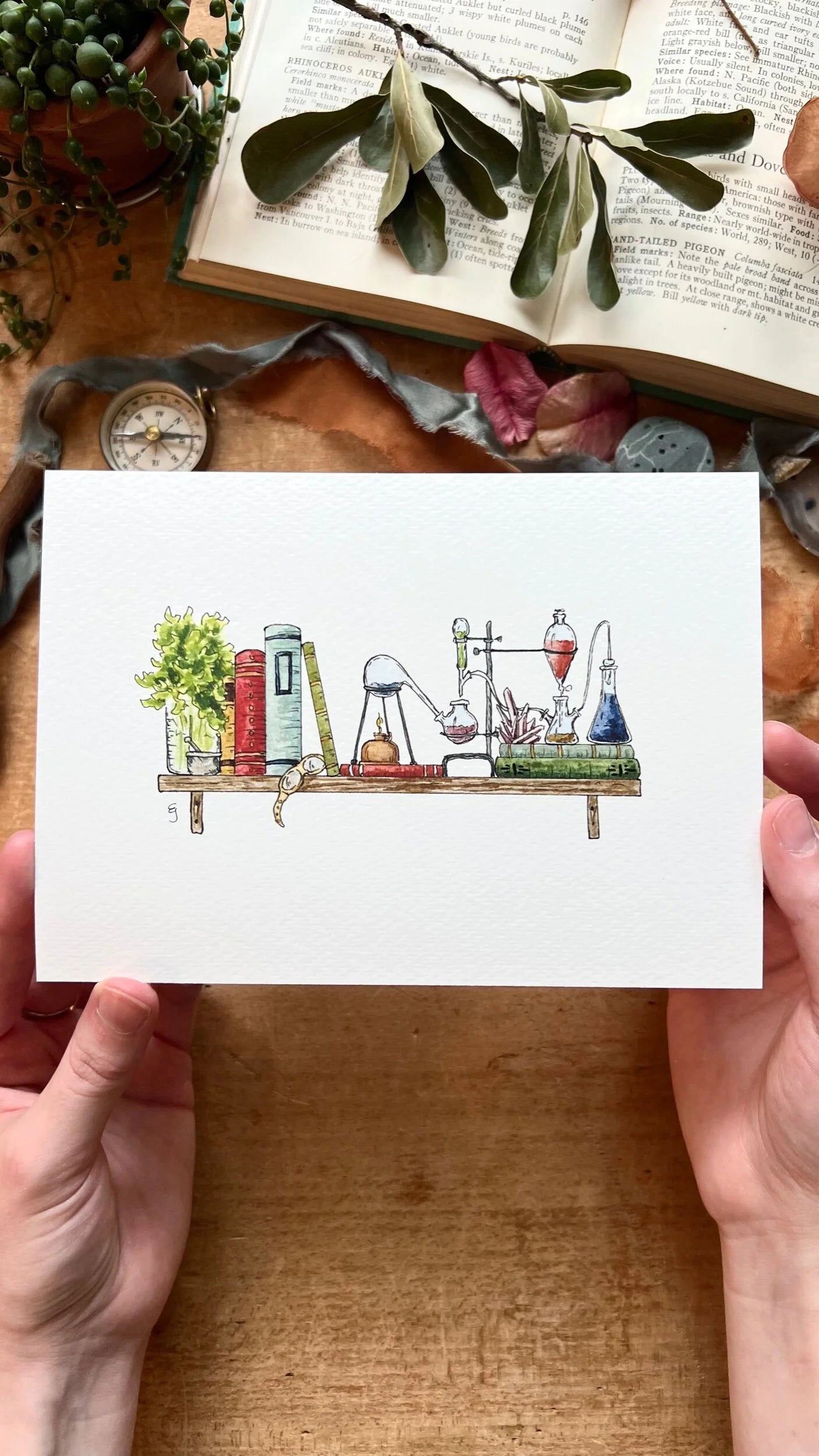 The Mini Chemist's Shelf Giclée Print