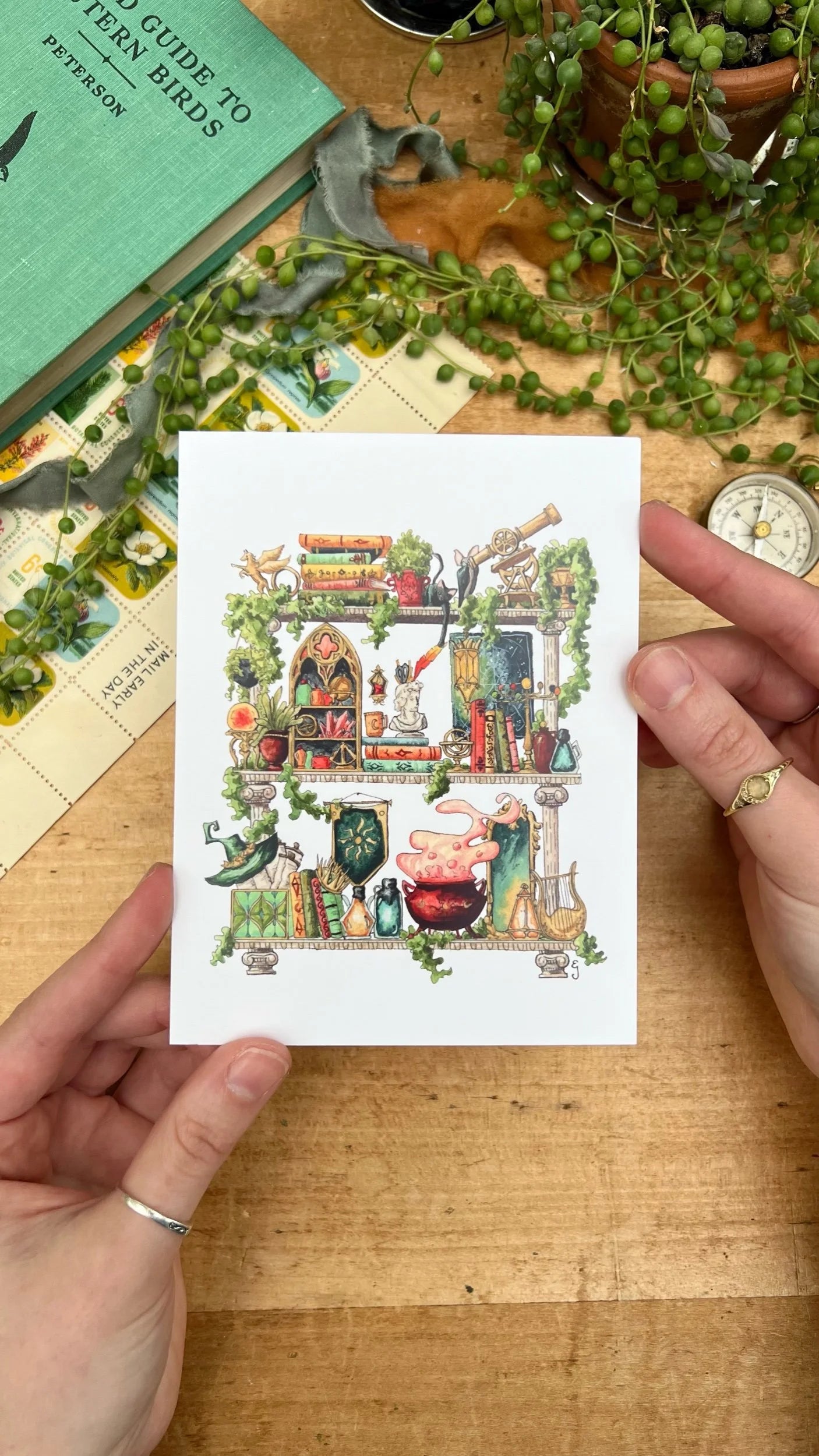 The Celestial Witch's Shelves Postcard