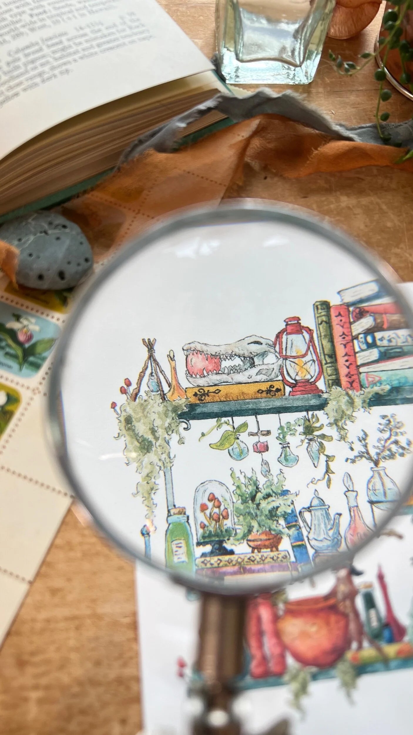 The Swamp Witch's Shelves Postcard