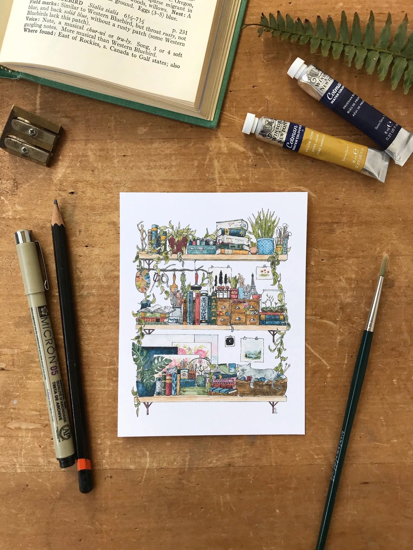 Vol. 2 Natural History Postcard Set