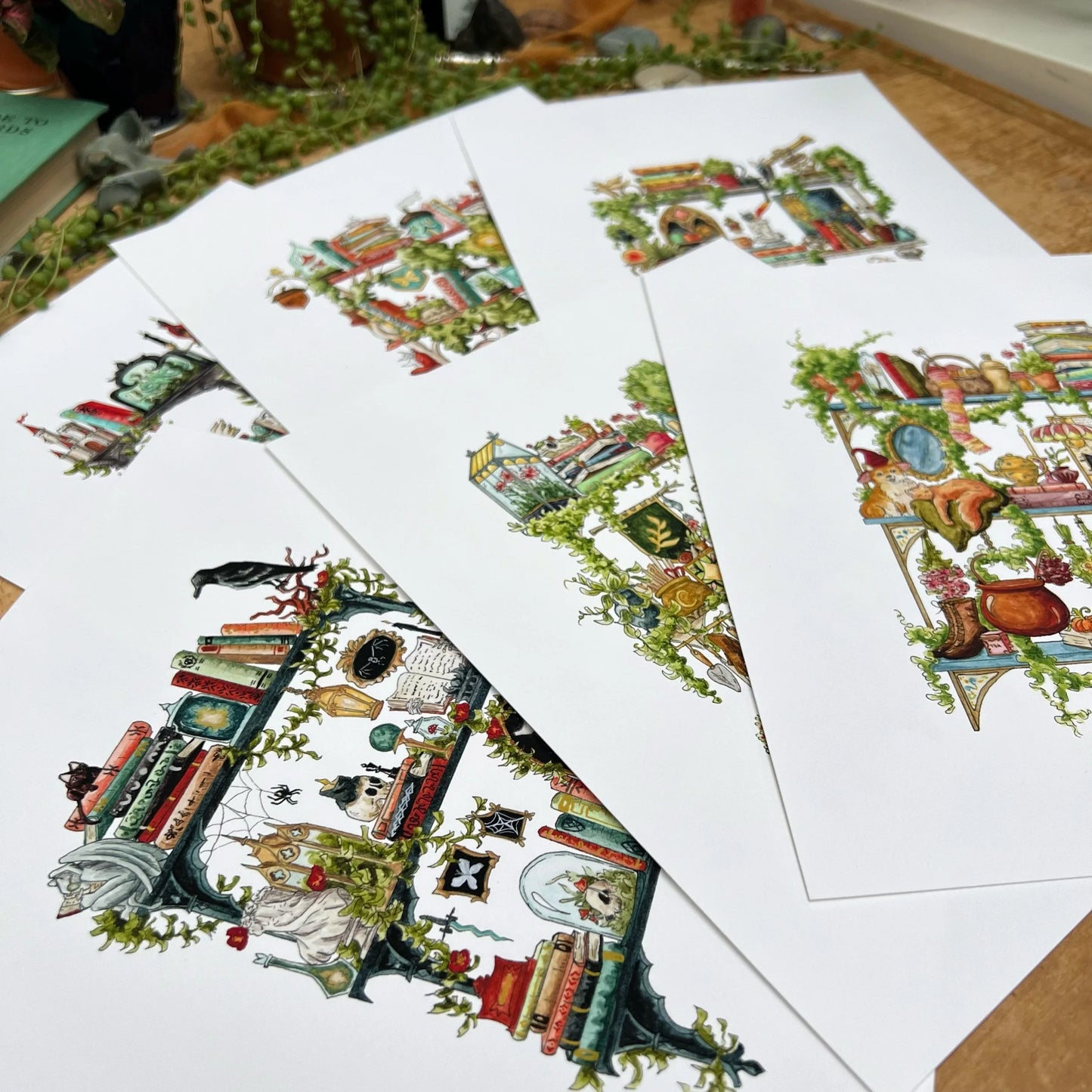 Witches Shelves Giclée Print Bundle, Vol. 2
