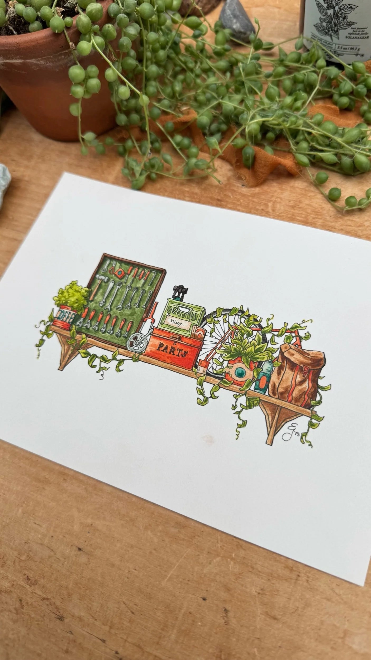 Original Mini Cyclist's Shelf Illustration