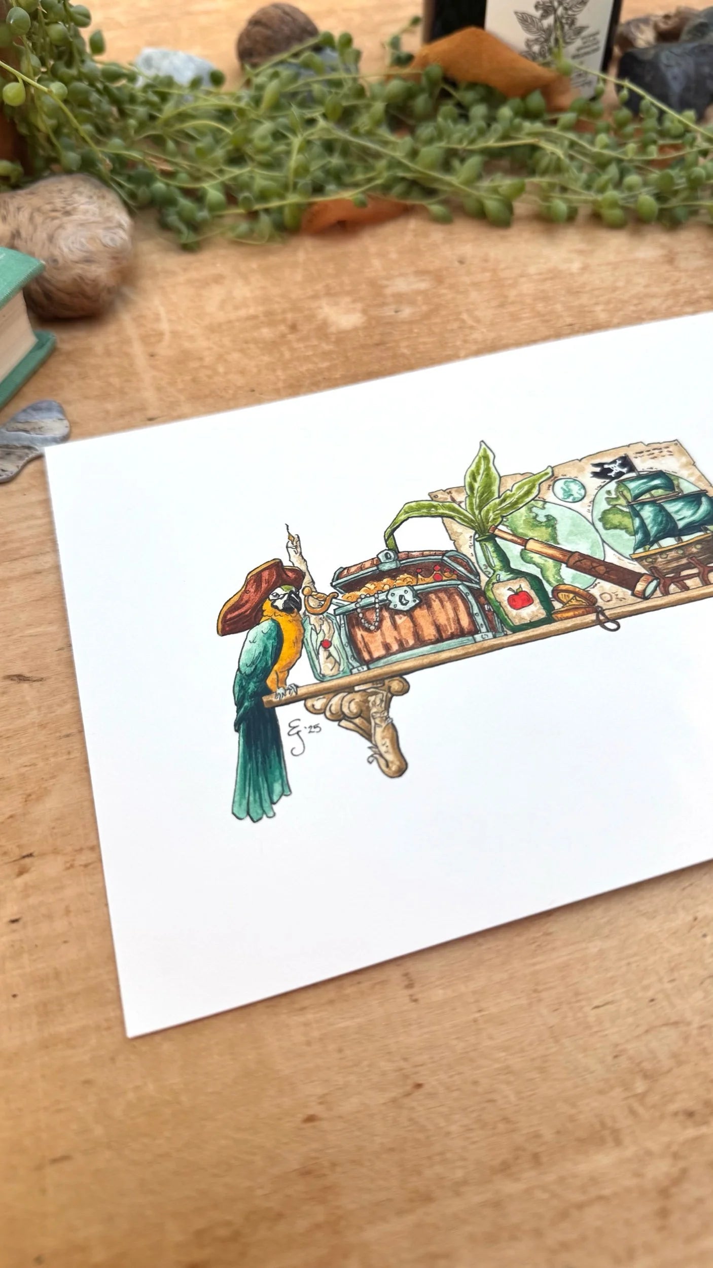 Original Mini Pirate's Shelf Illustration