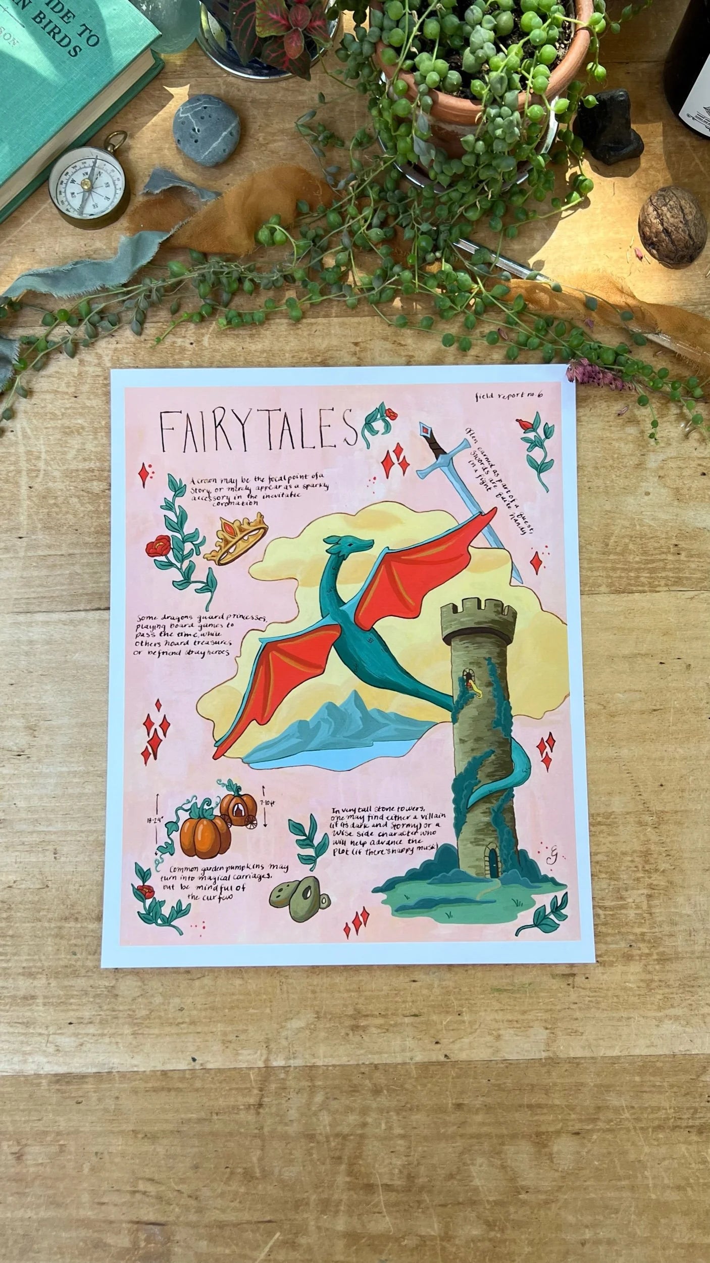 Fairytales Field Report Giclée Print
