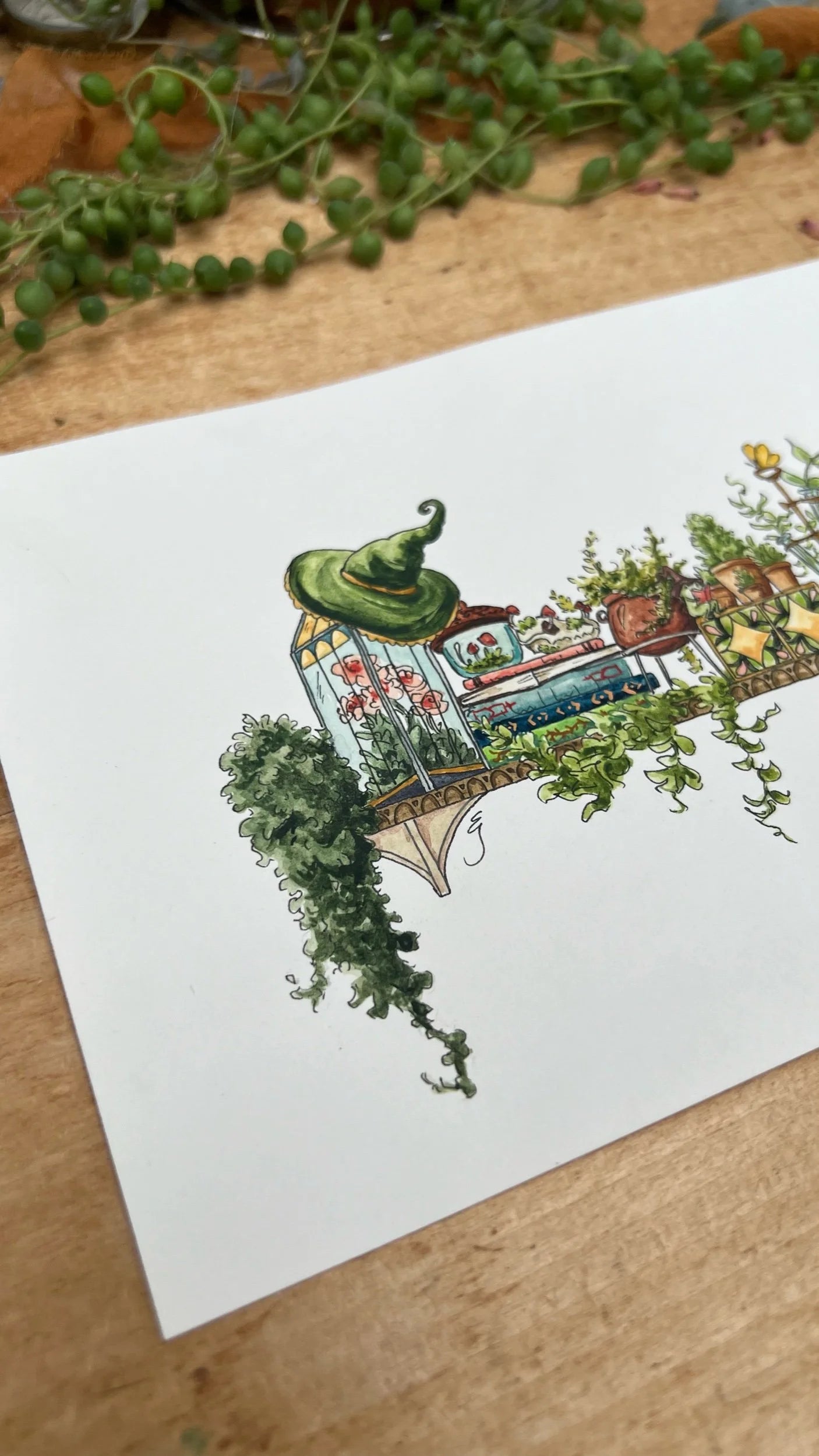 Original Mini Garden Witch's Shelf Illustration