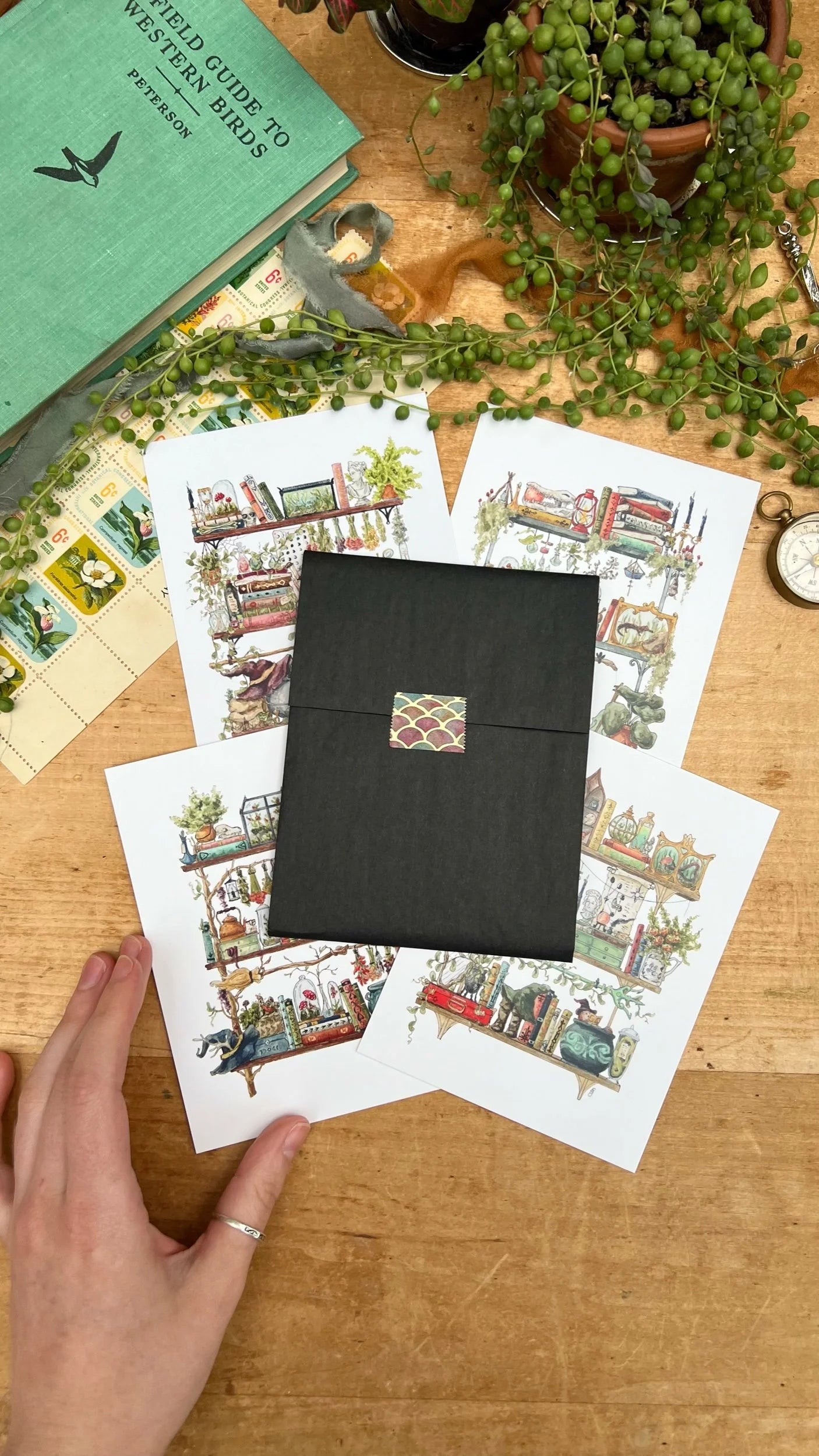 Witches Postcards Vol. 1