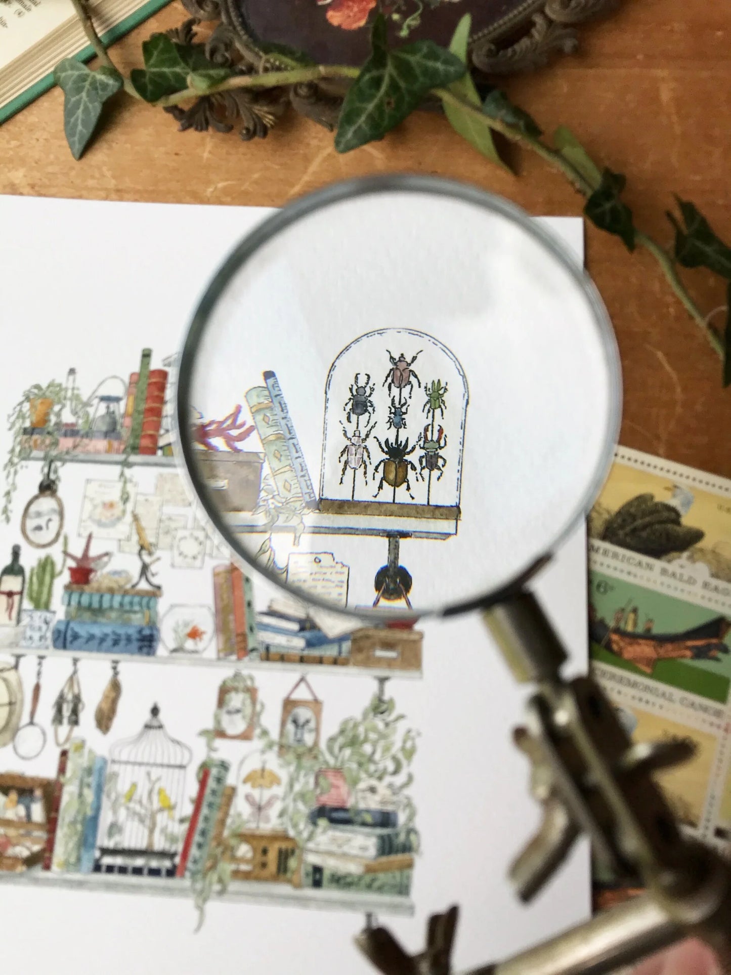 The Biologist's Shelves Giclée Print