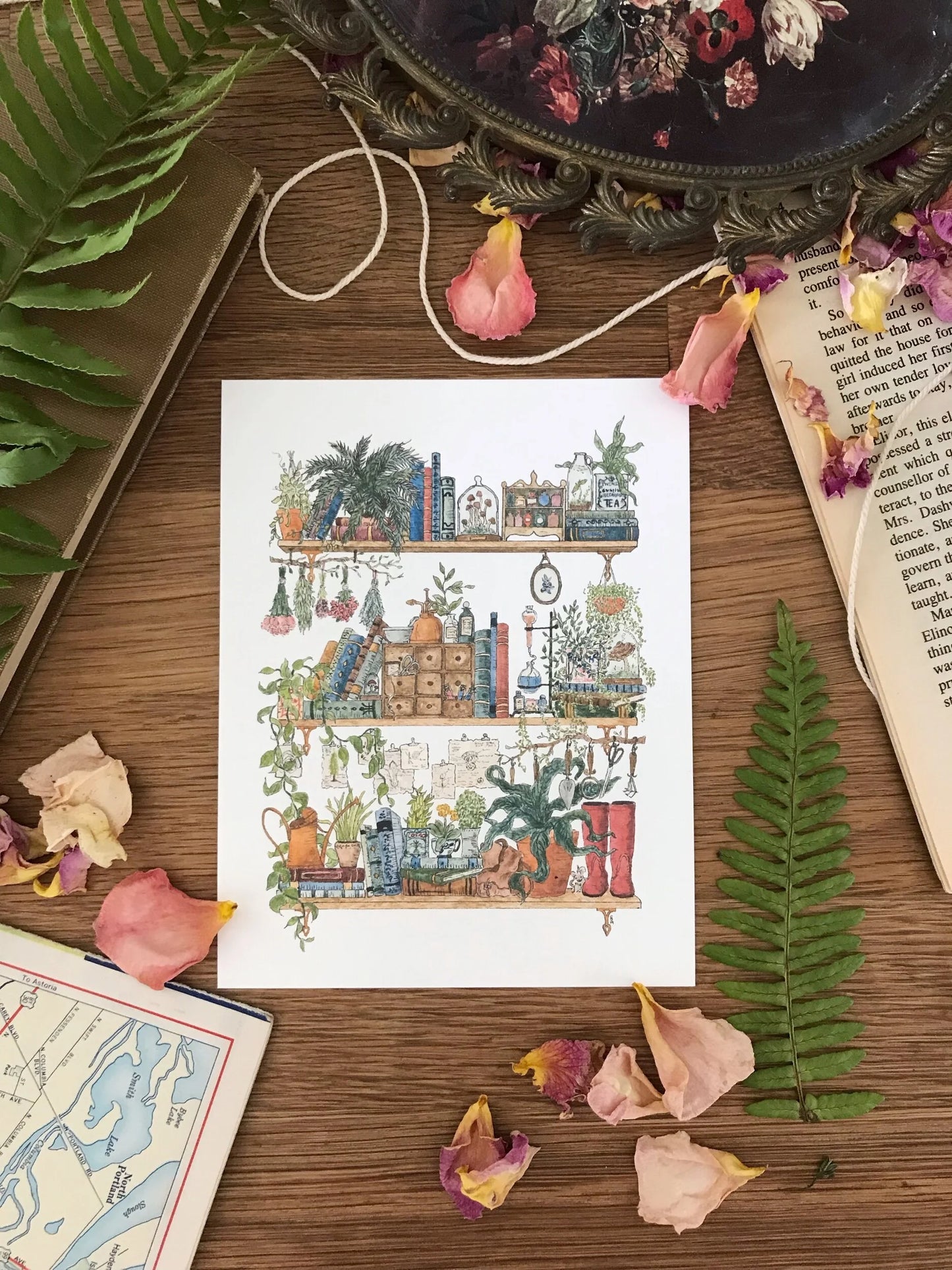 Vol. 1: Natural History Postcard Set