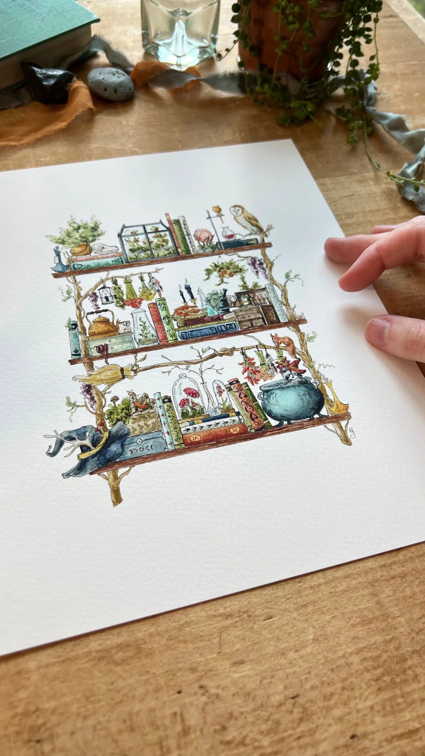 The Forest Witch's Shelves Giclée Print