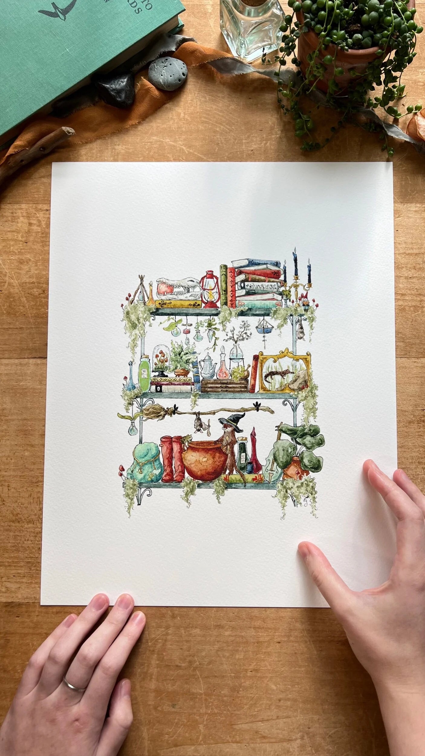 The Swamp Witch's Shelves Giclée Print