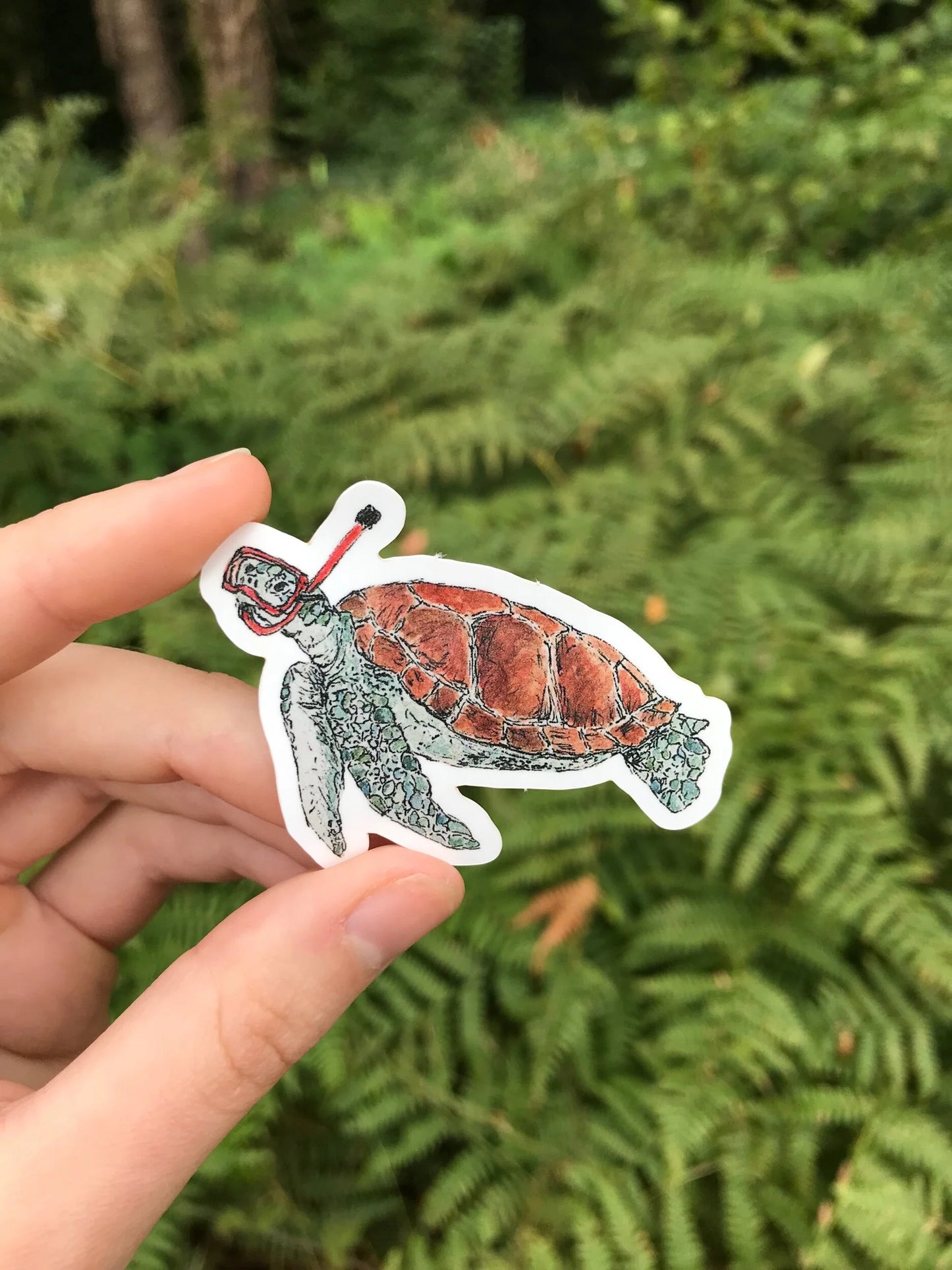 Snorkeling Turtle Sticker