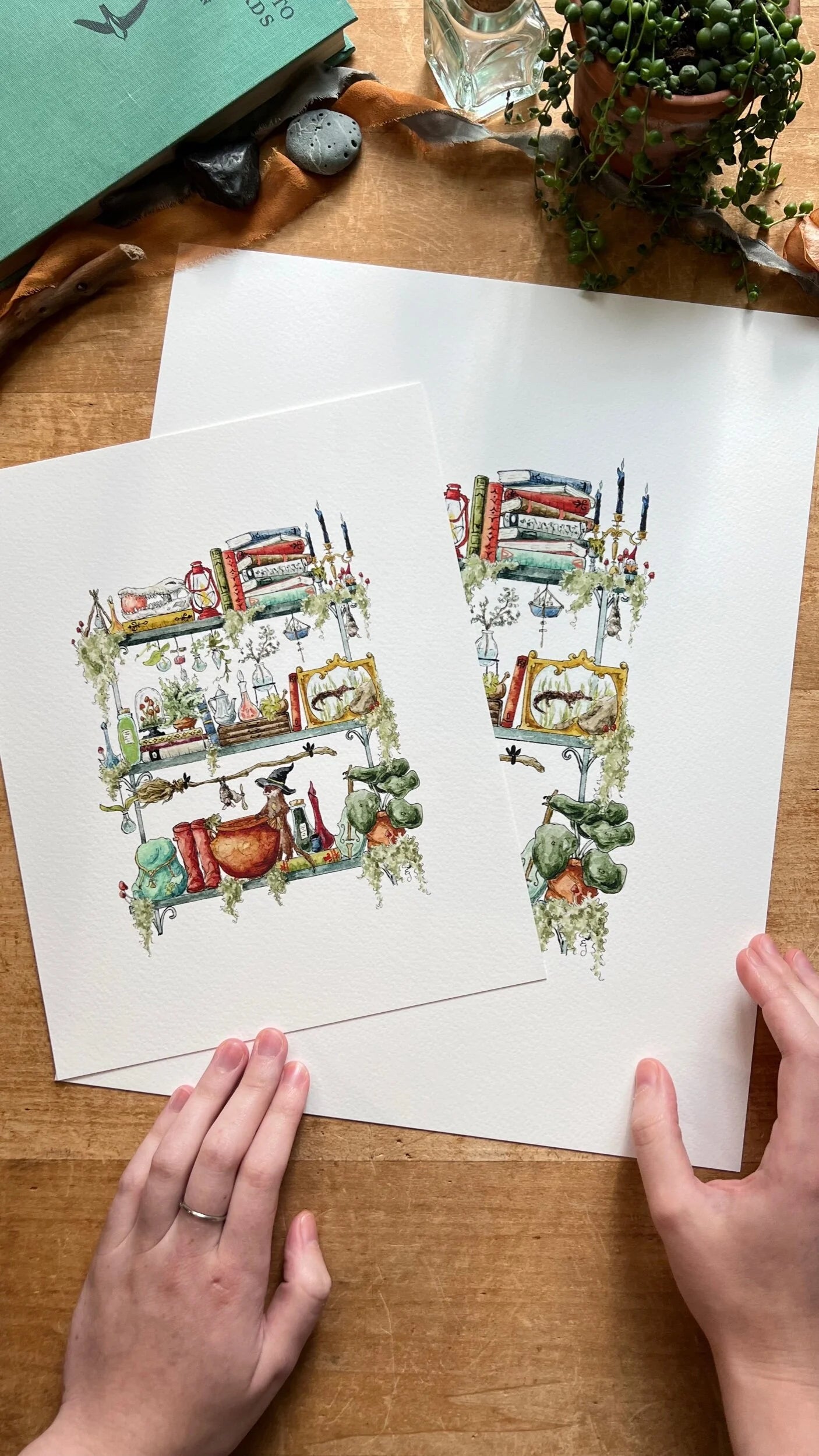 The Swamp Witch's Shelves Giclée Print