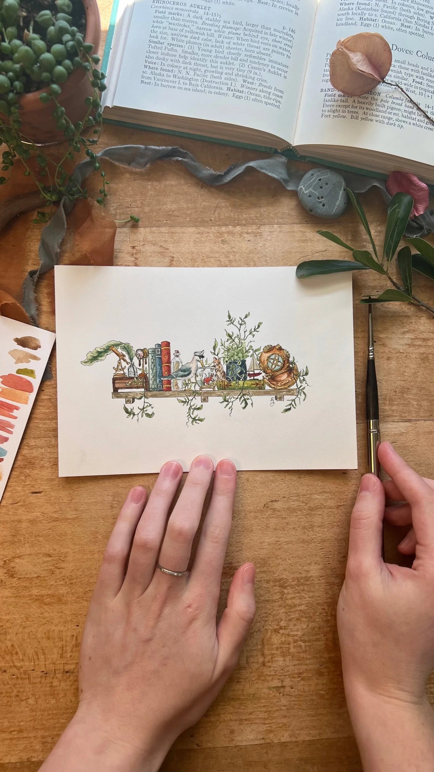 Original Mini Sailor's Shelf Illustration