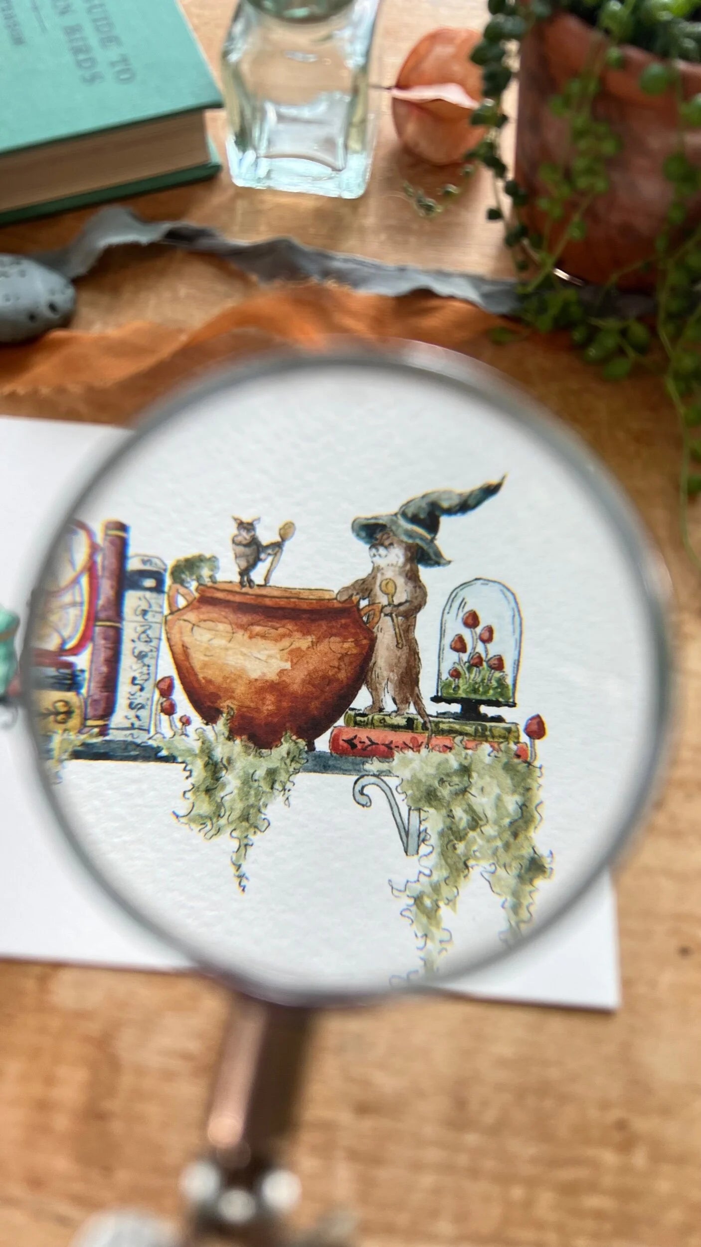 The Mini Swamp Witch's Shelf Giclée Print