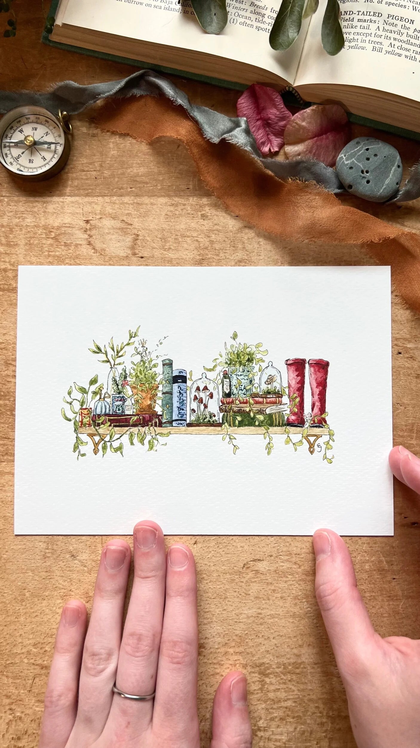 The Mini Biologist's Shelf Giclée Print