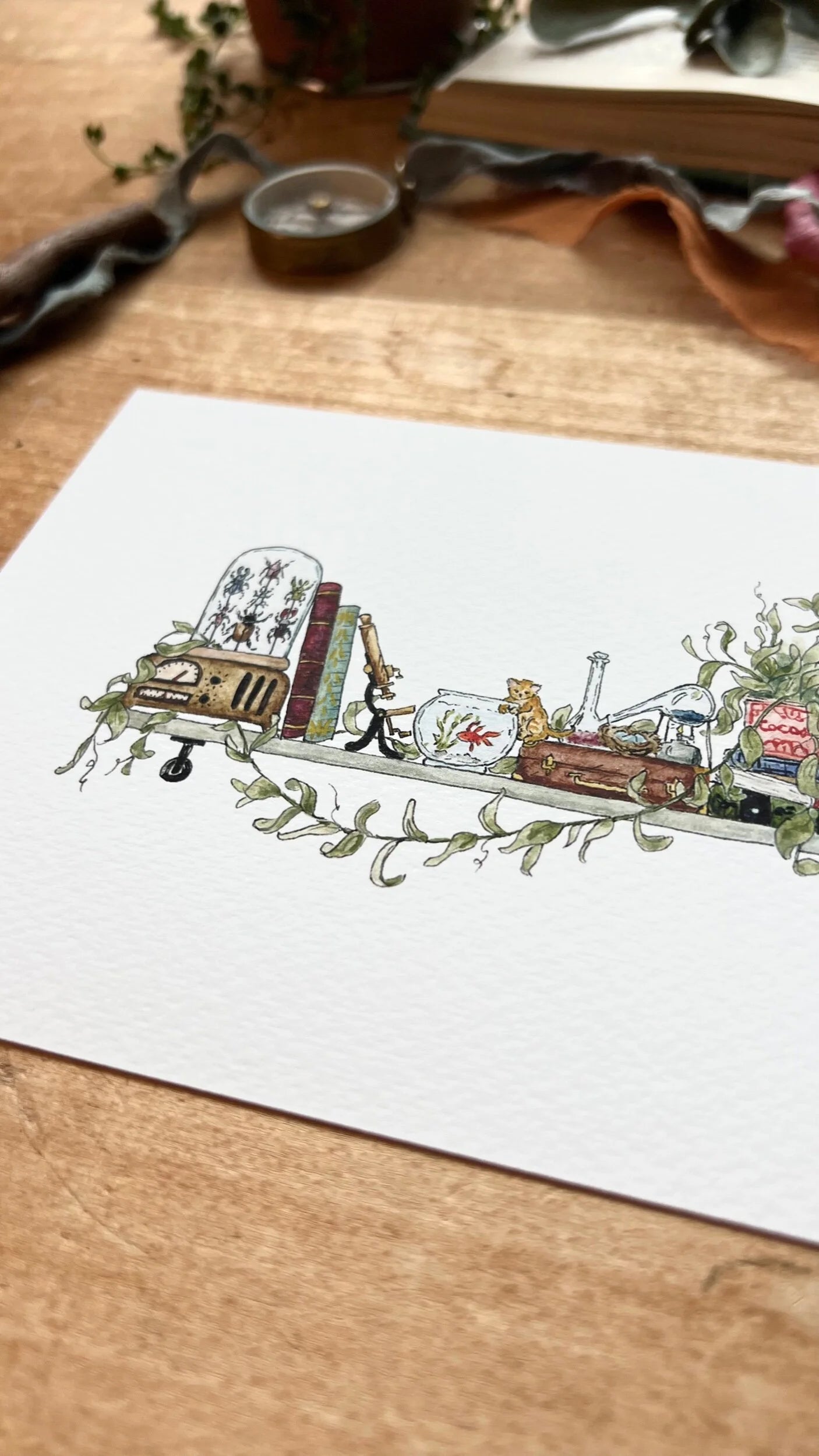 The Mini Biologist's Shelf Giclée Print