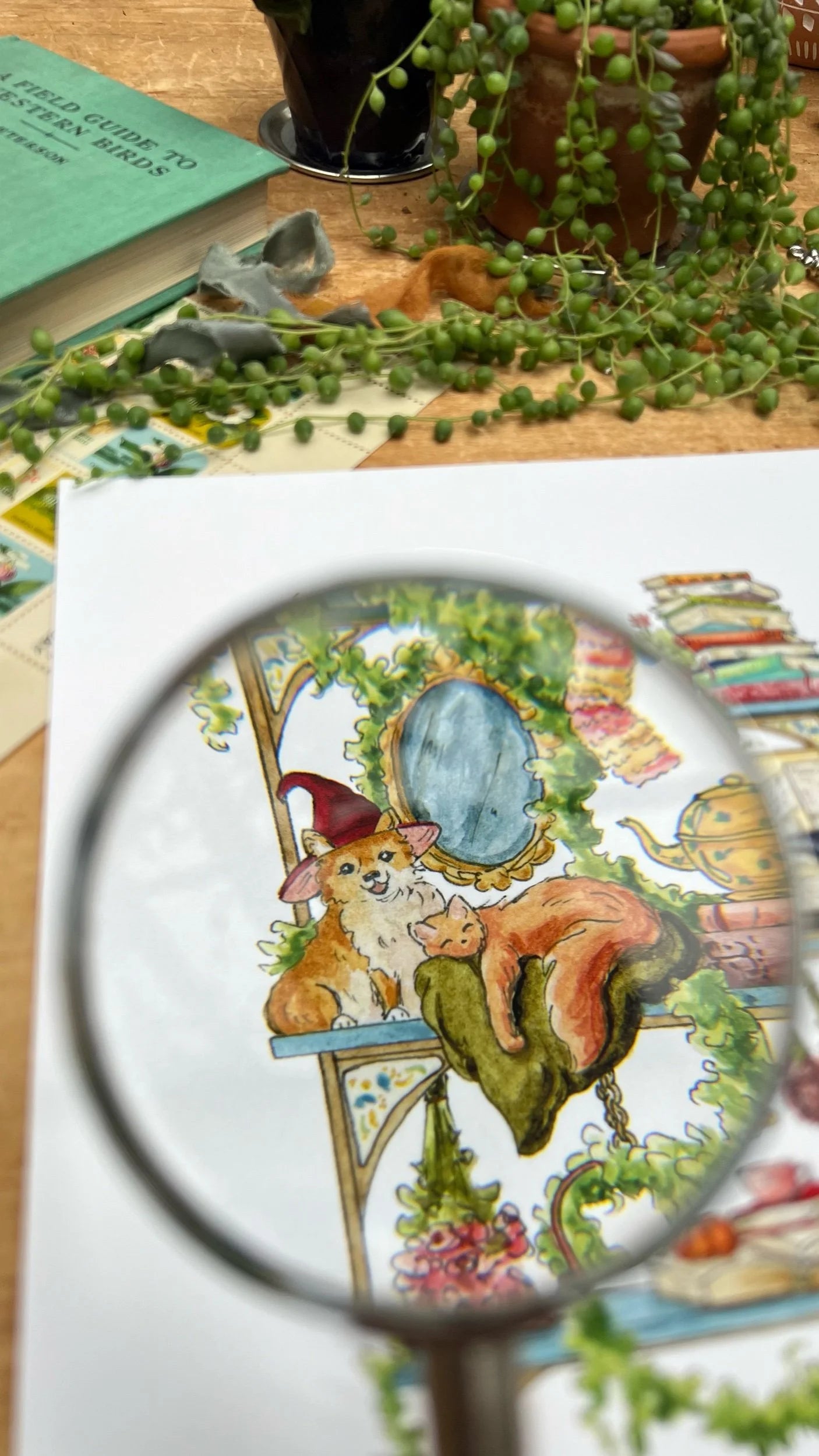 The Hedge Witch's Shelves Giclée Print