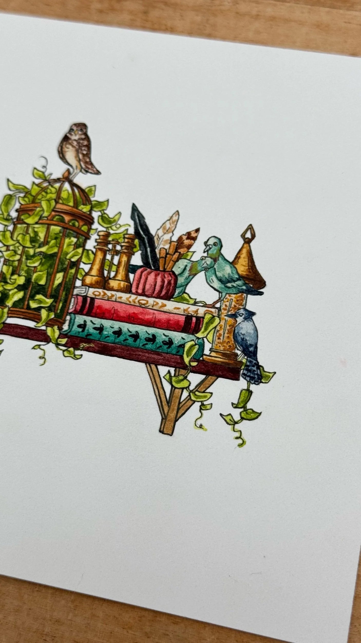 Original Mini Ornithologist's Shelf Illustration