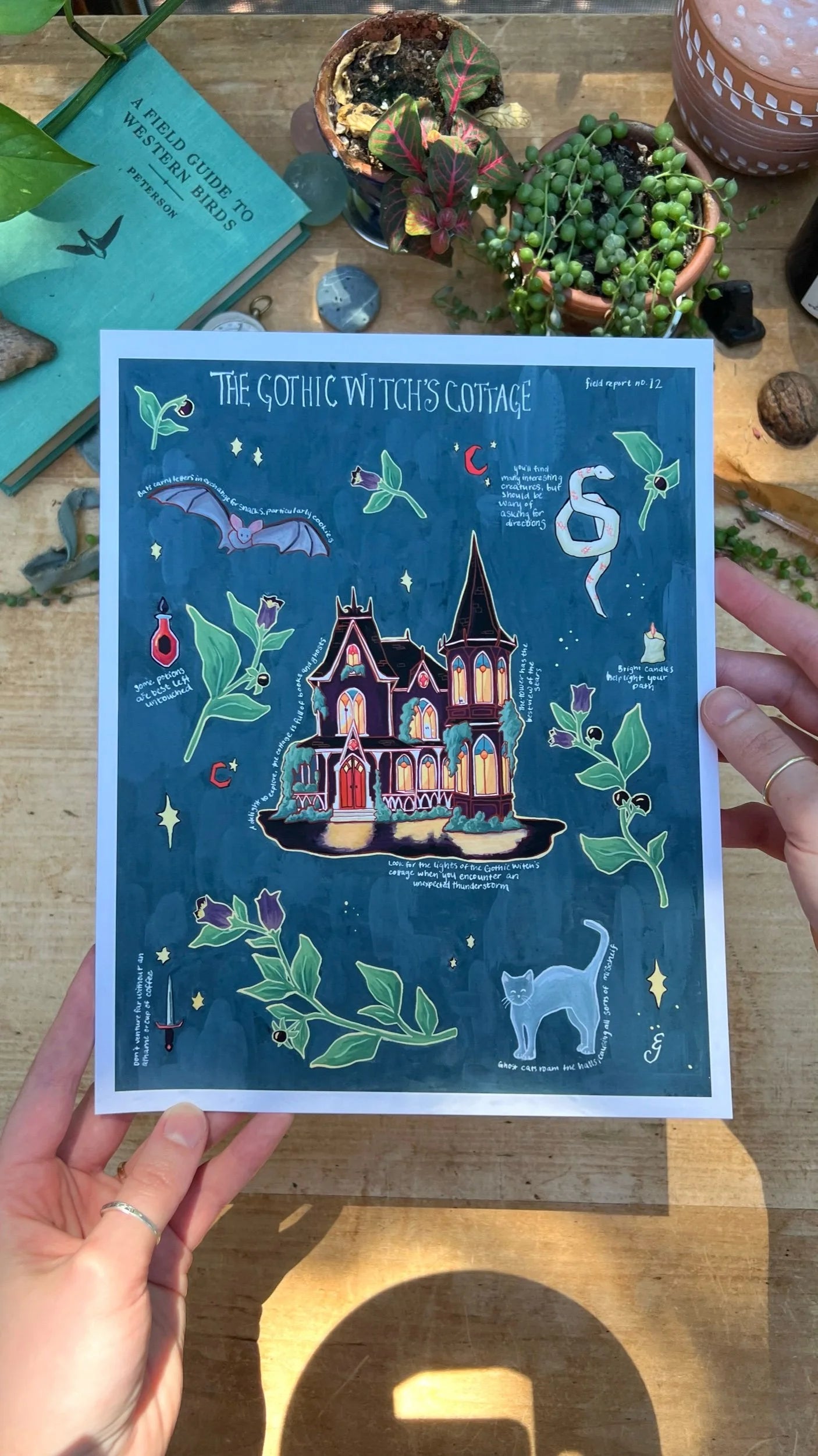 The Gothic Witch's Cottage Field Report Giclée Print