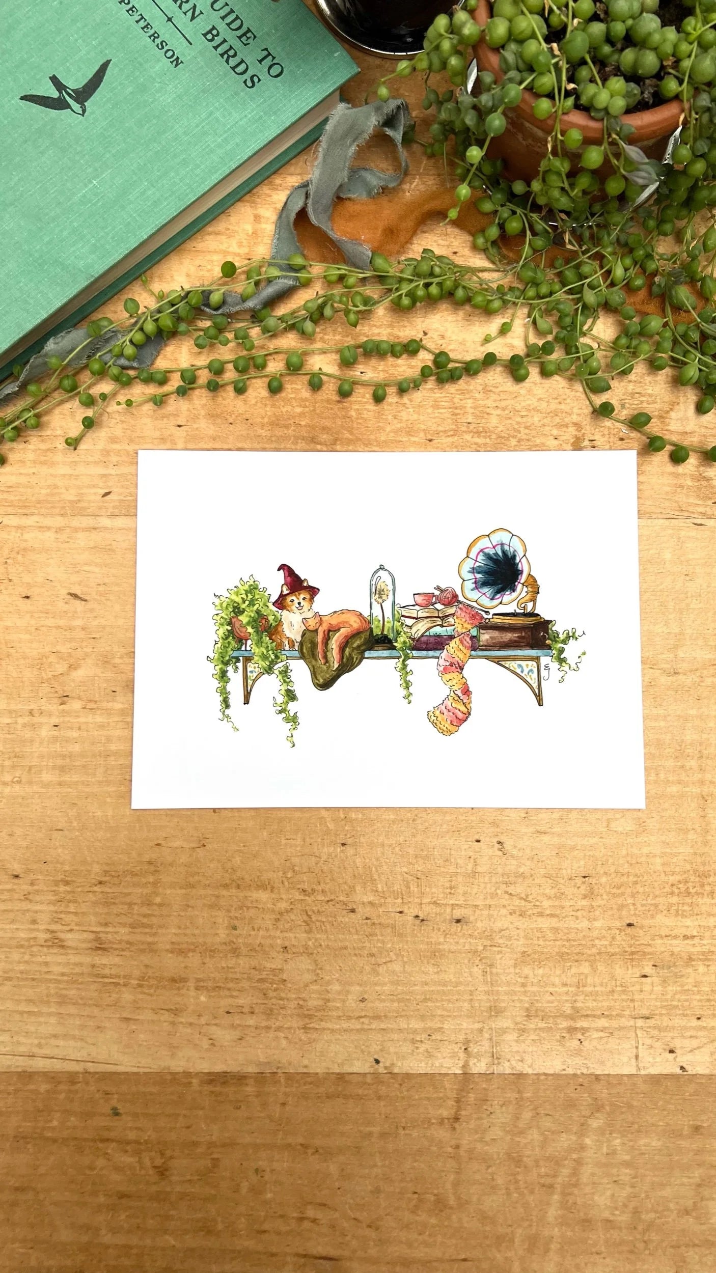 The Mini Hedge Witch's Shelf Giclée Print