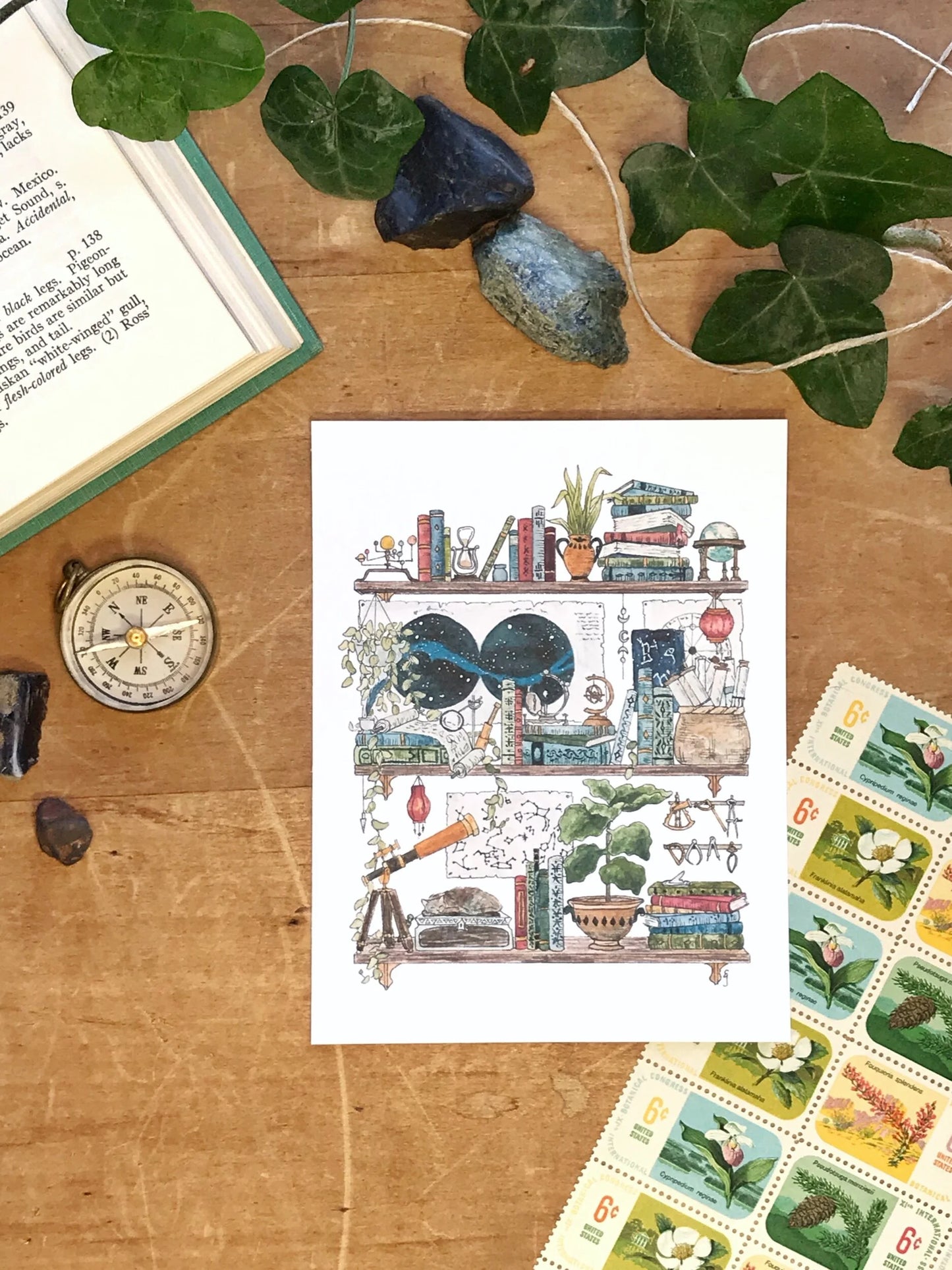 Vol. 2 Natural History Postcard Set