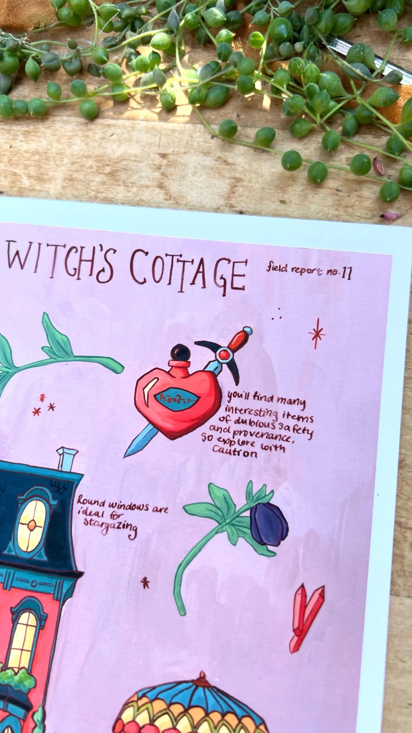 The City Witch's Cottage Field Report Giclée Print