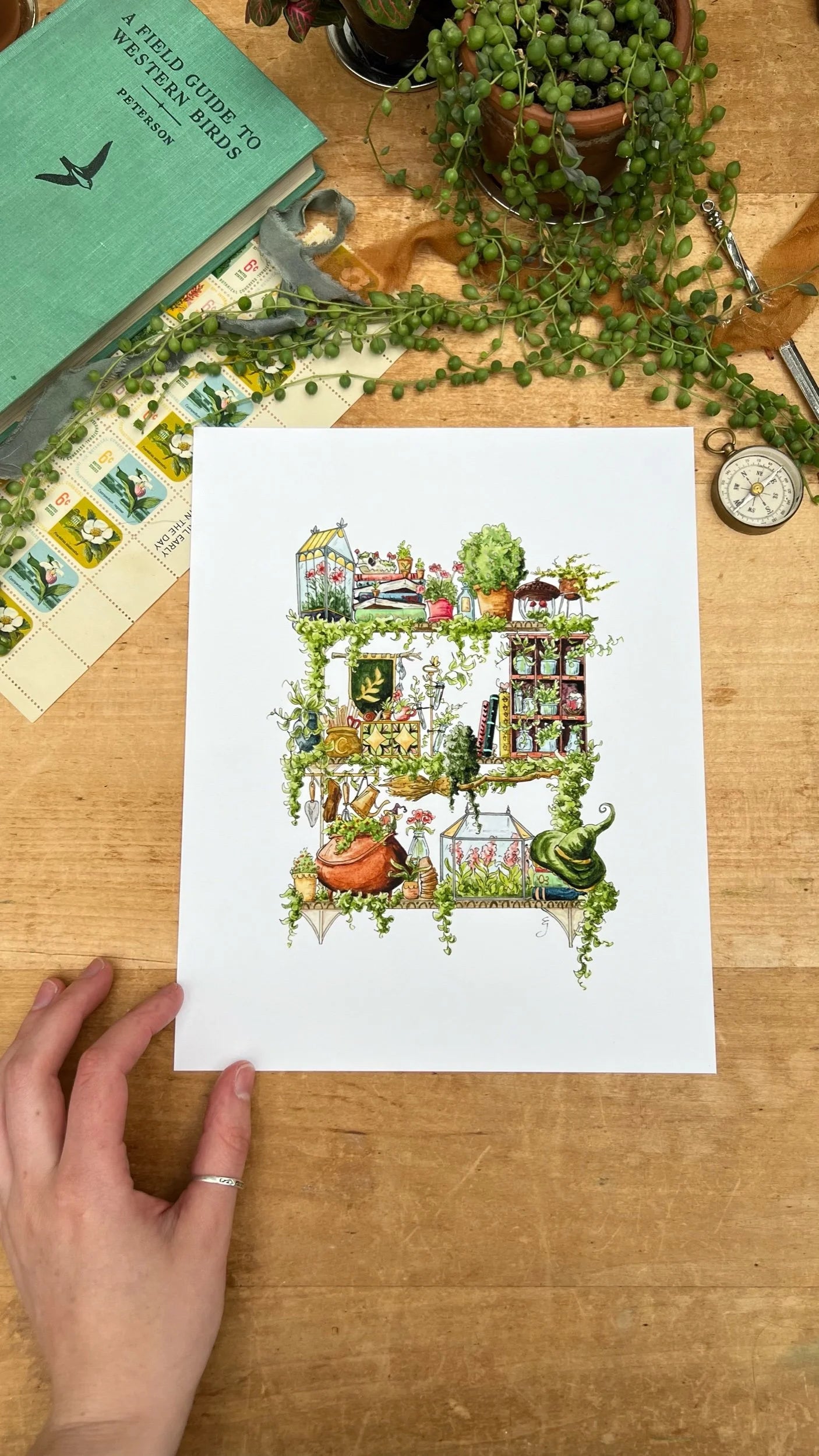 The Garden Witch's Shelves Giclée Print