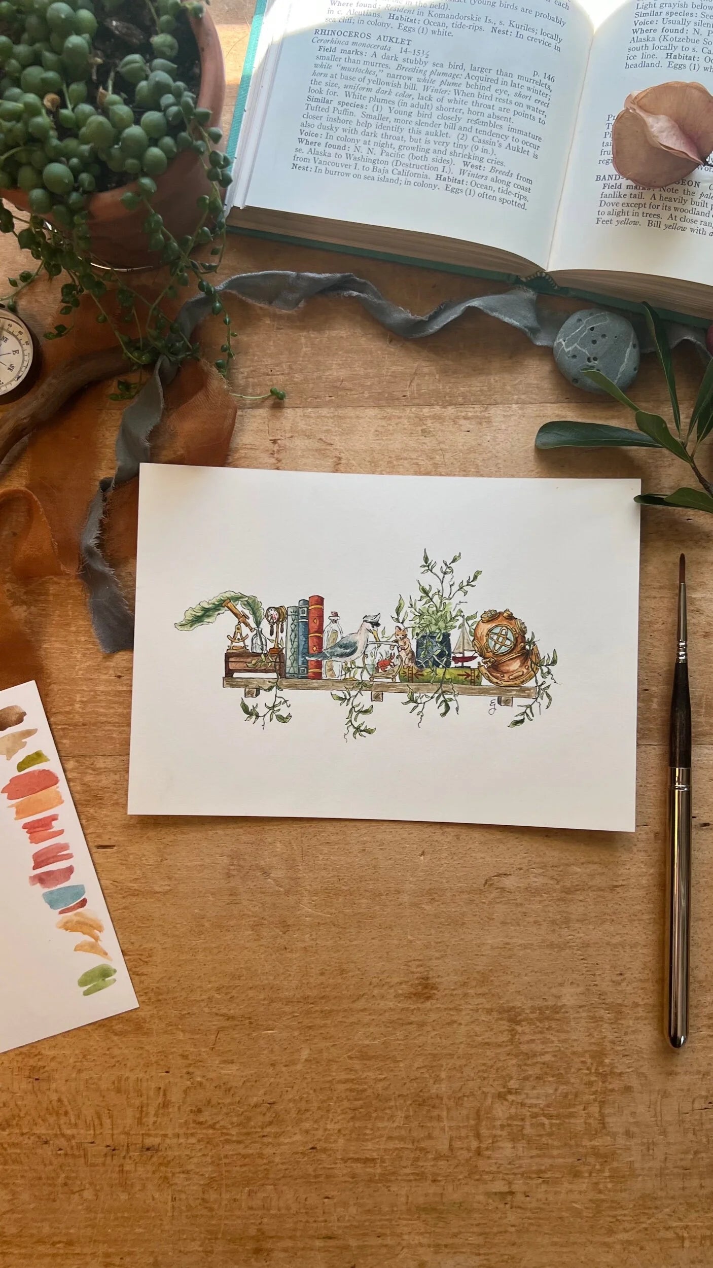 Original Mini Sailor's Shelf Illustration