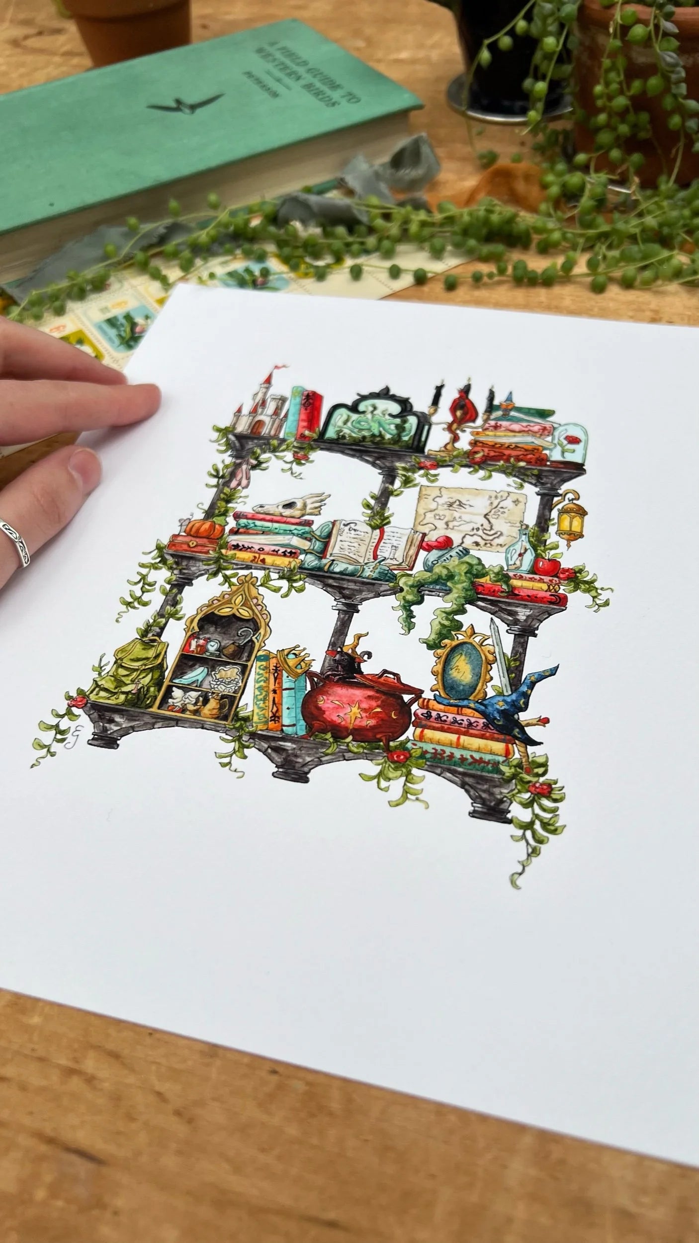 The Storybook Witch's Shelves Giclée Print