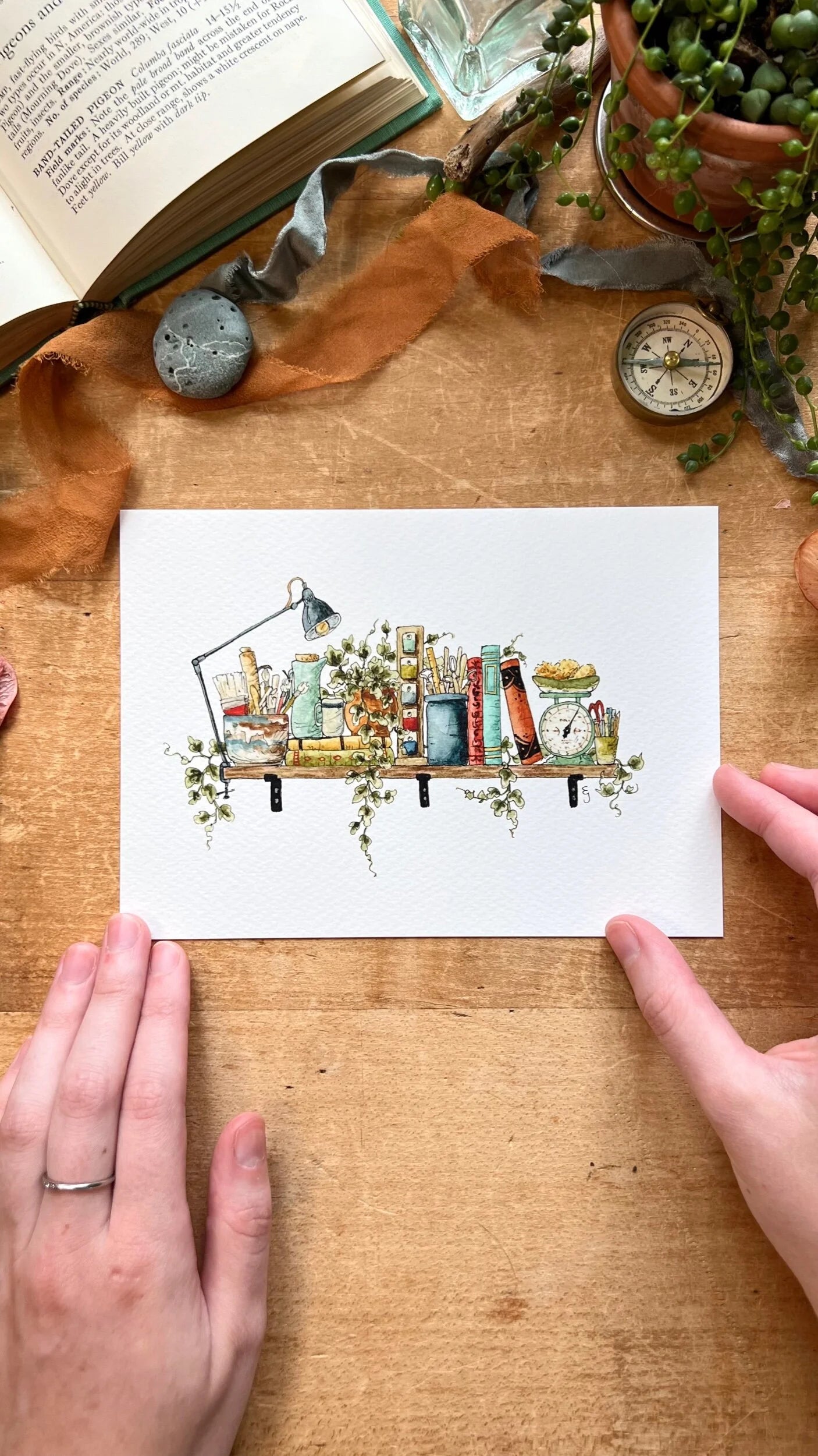 The Mini Potter's Shelf Giclée Print