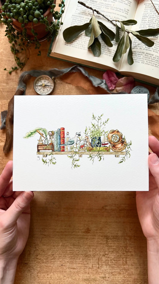 The Mini Sailor's Shelf Giclée Print