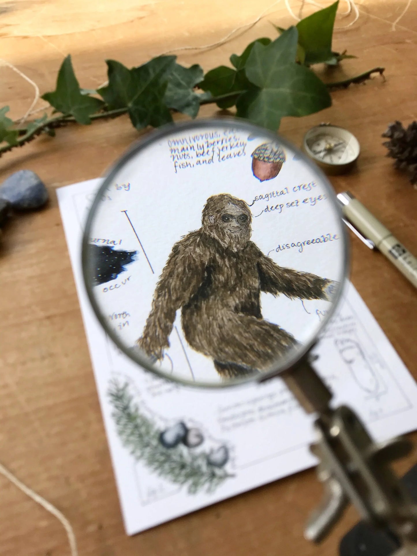 Sasquatch Field Report Giclée Print