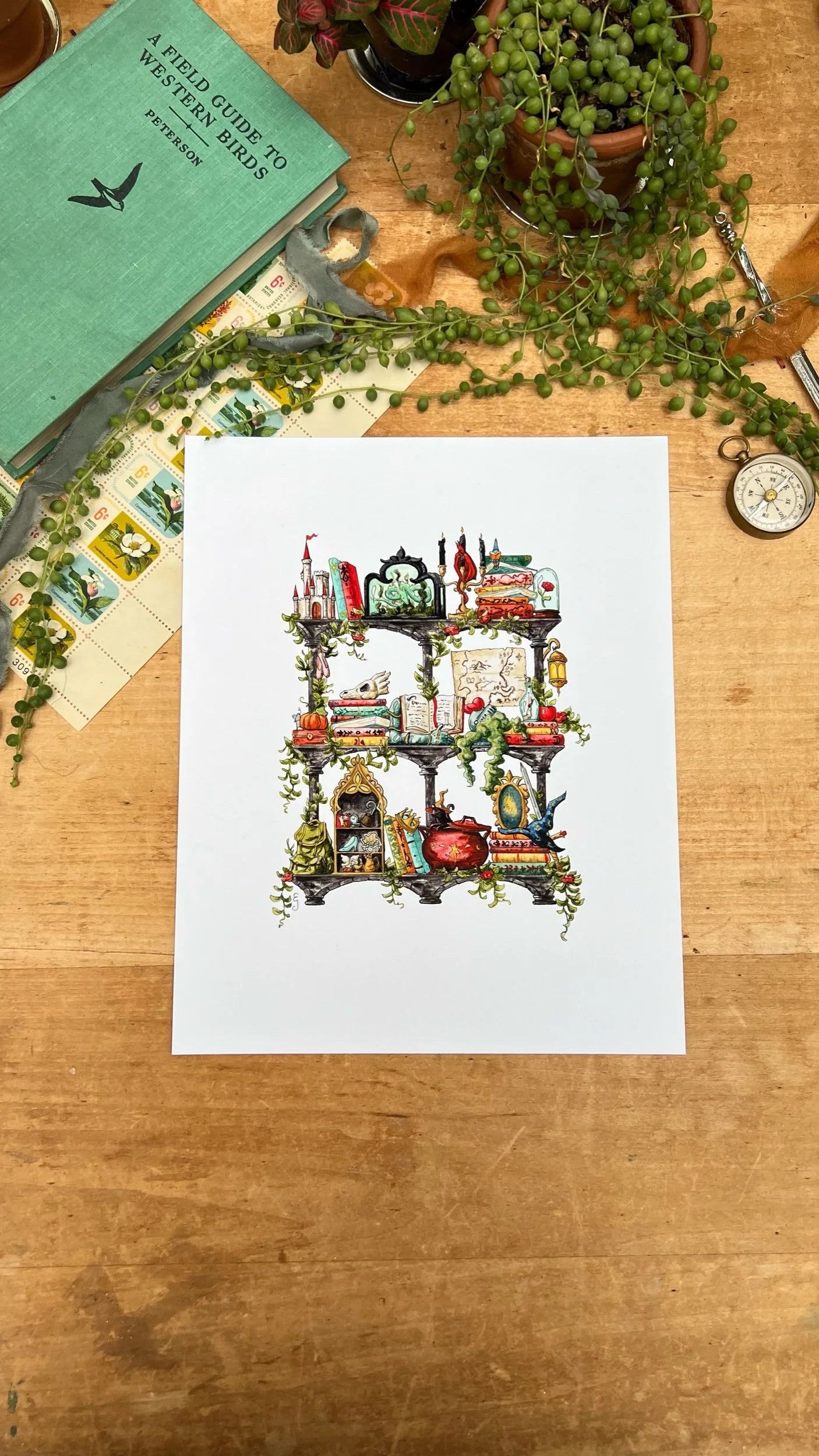 The Storybook Witch's Shelves Giclée Print