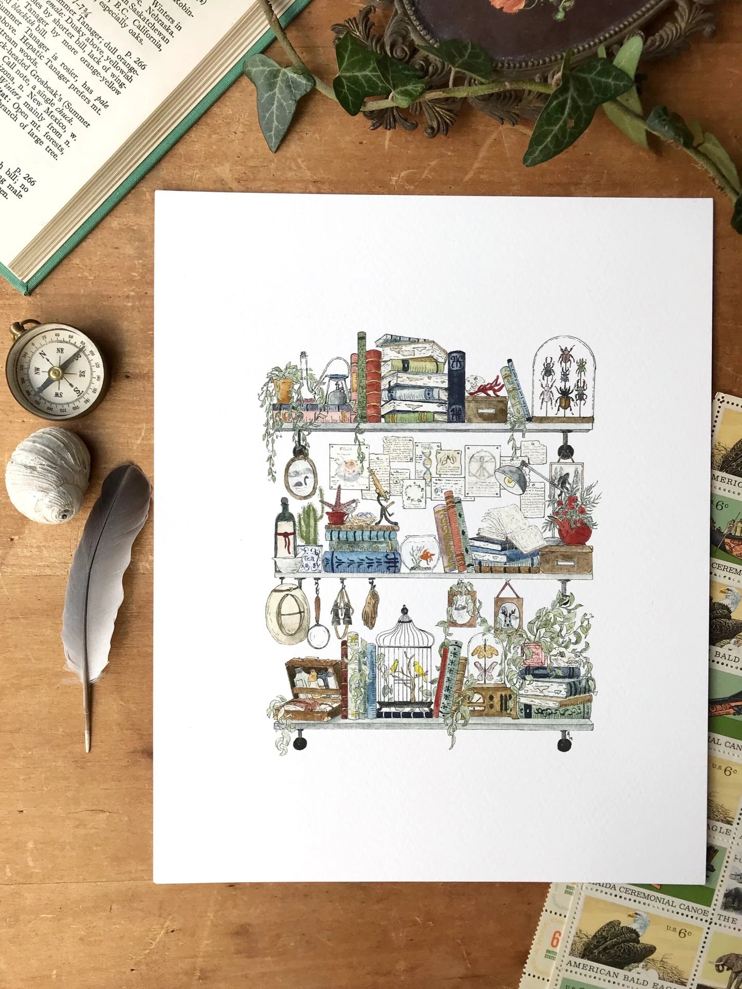 The Biologist's Shelves Giclée Print