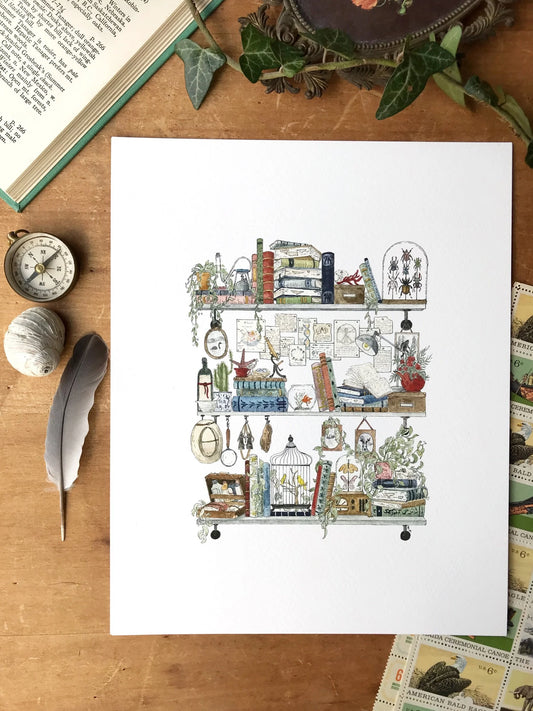 The Biologist's Shelves Giclée Print
